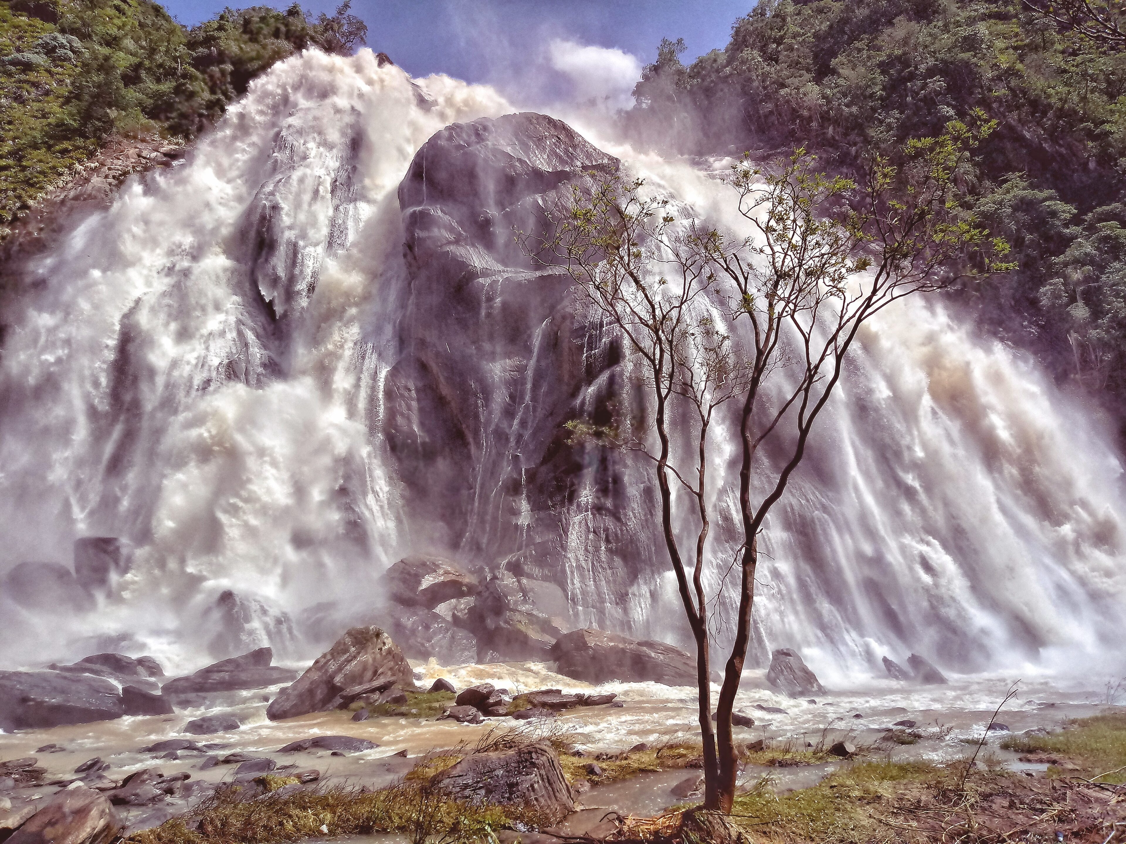 Parque Estadual Cachoeira da Fumaça — Mata Atlântica