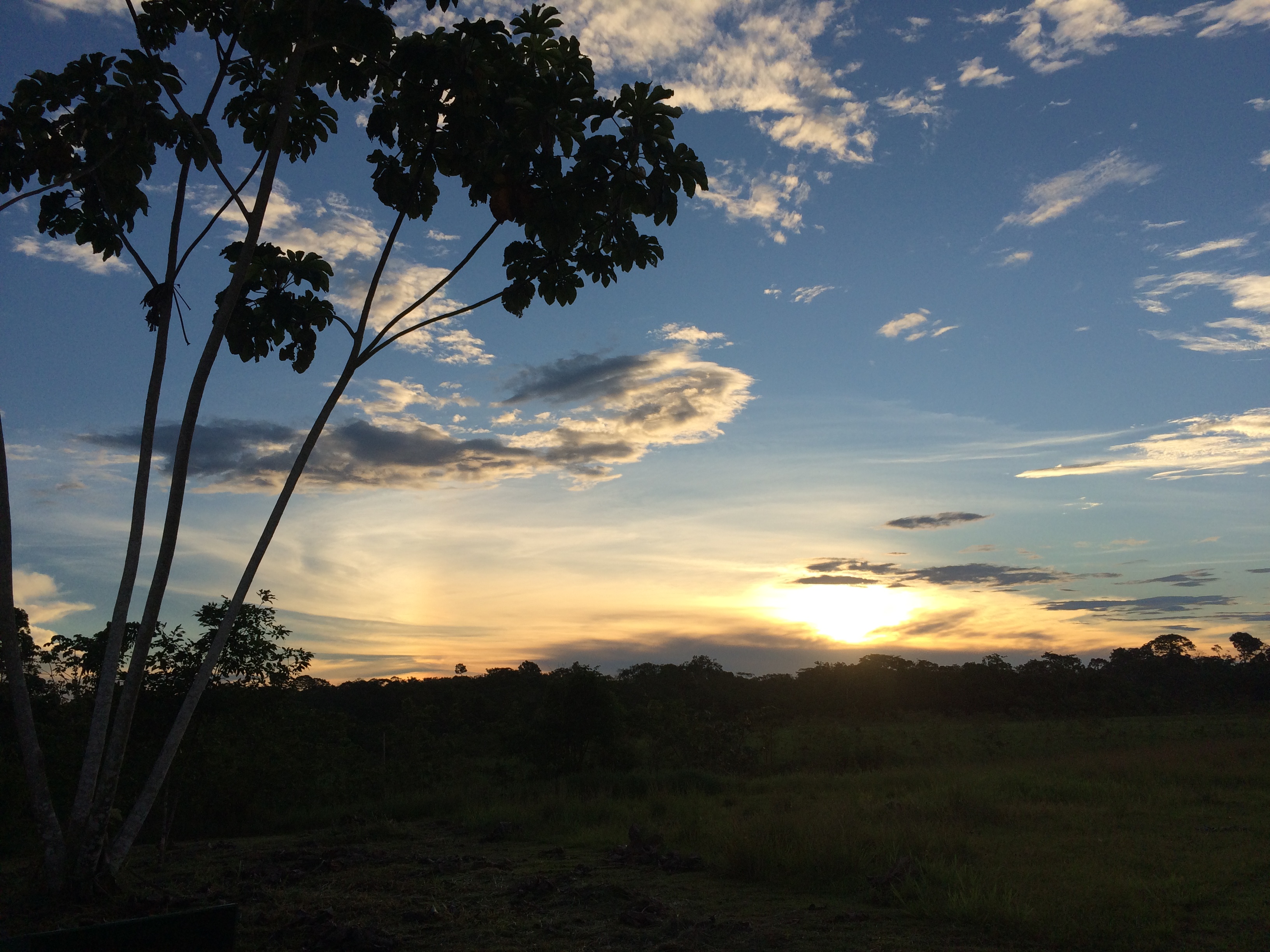 Parque Estadual Chandless — Amazônia