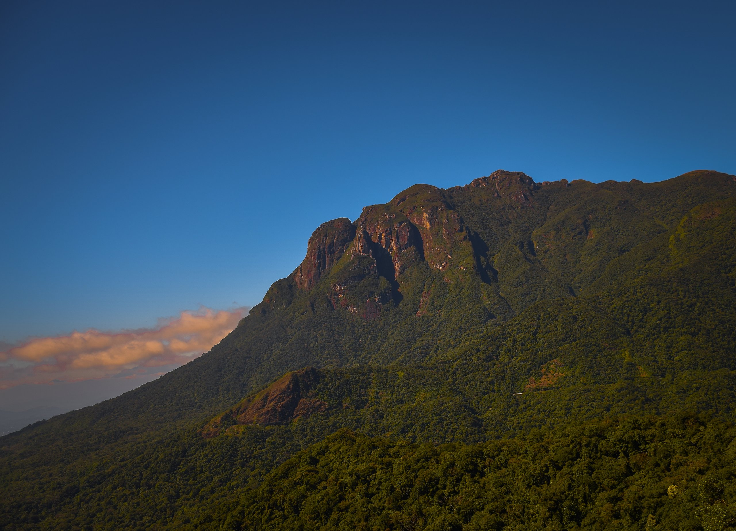 Parque Estadual da Graciosa — Mata Atlântica