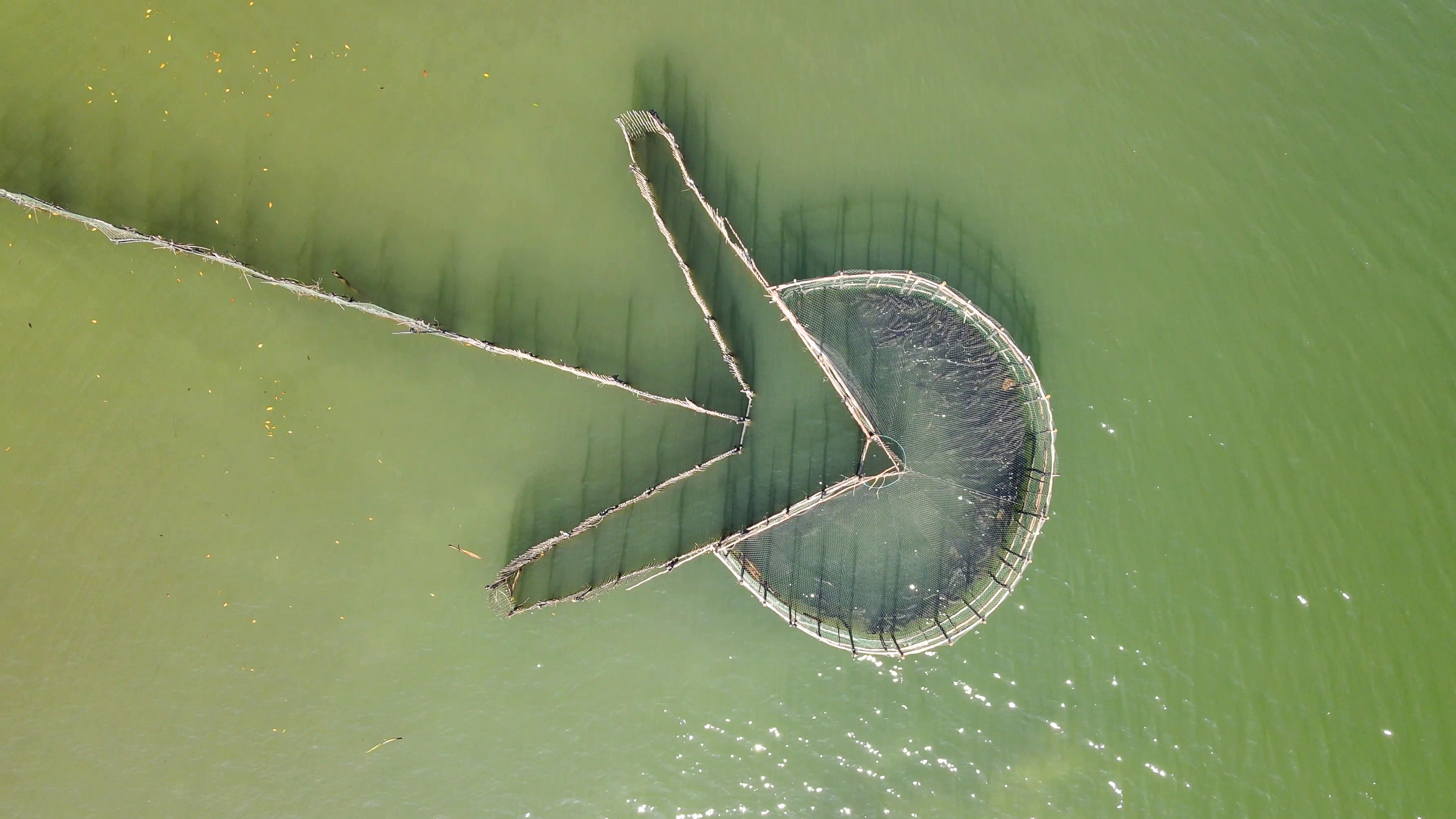 Parque Estadual da Ilha do Cardoso — Mata Atlântica