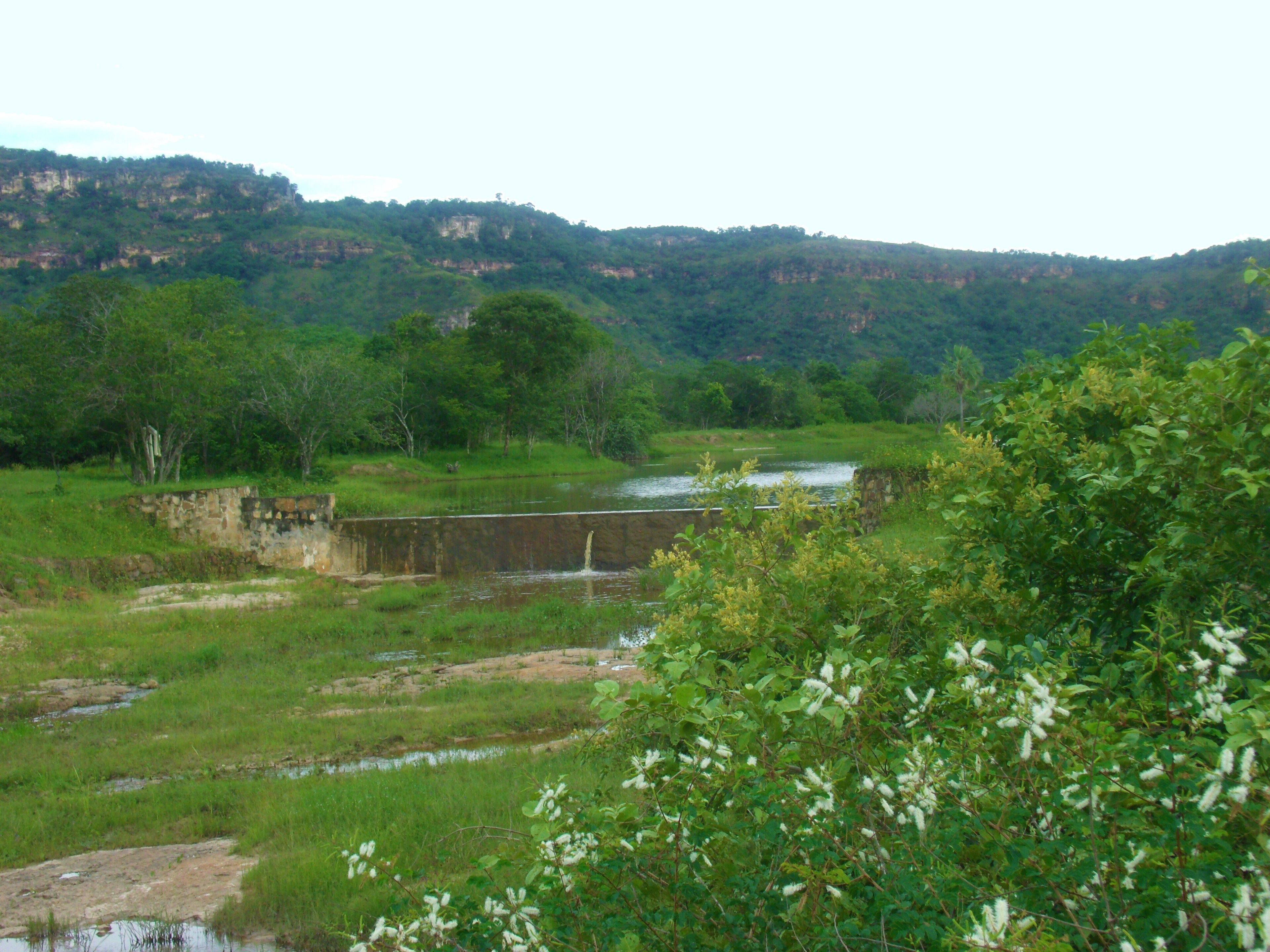 Parque Estadual da Serra de Santo Antônio — Cerrado