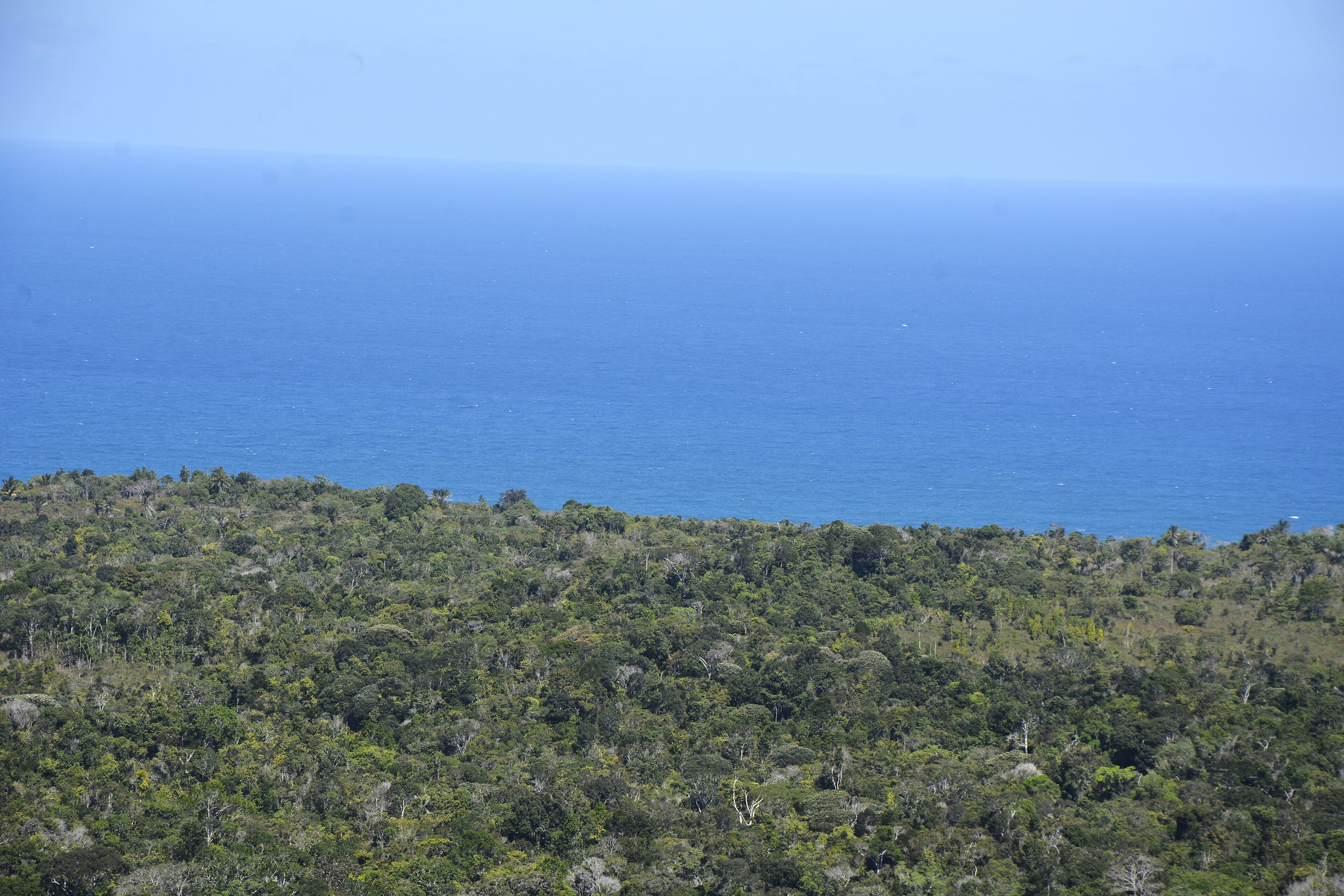 Parque Estadual da Serra do Conduru — Mata Atlântica