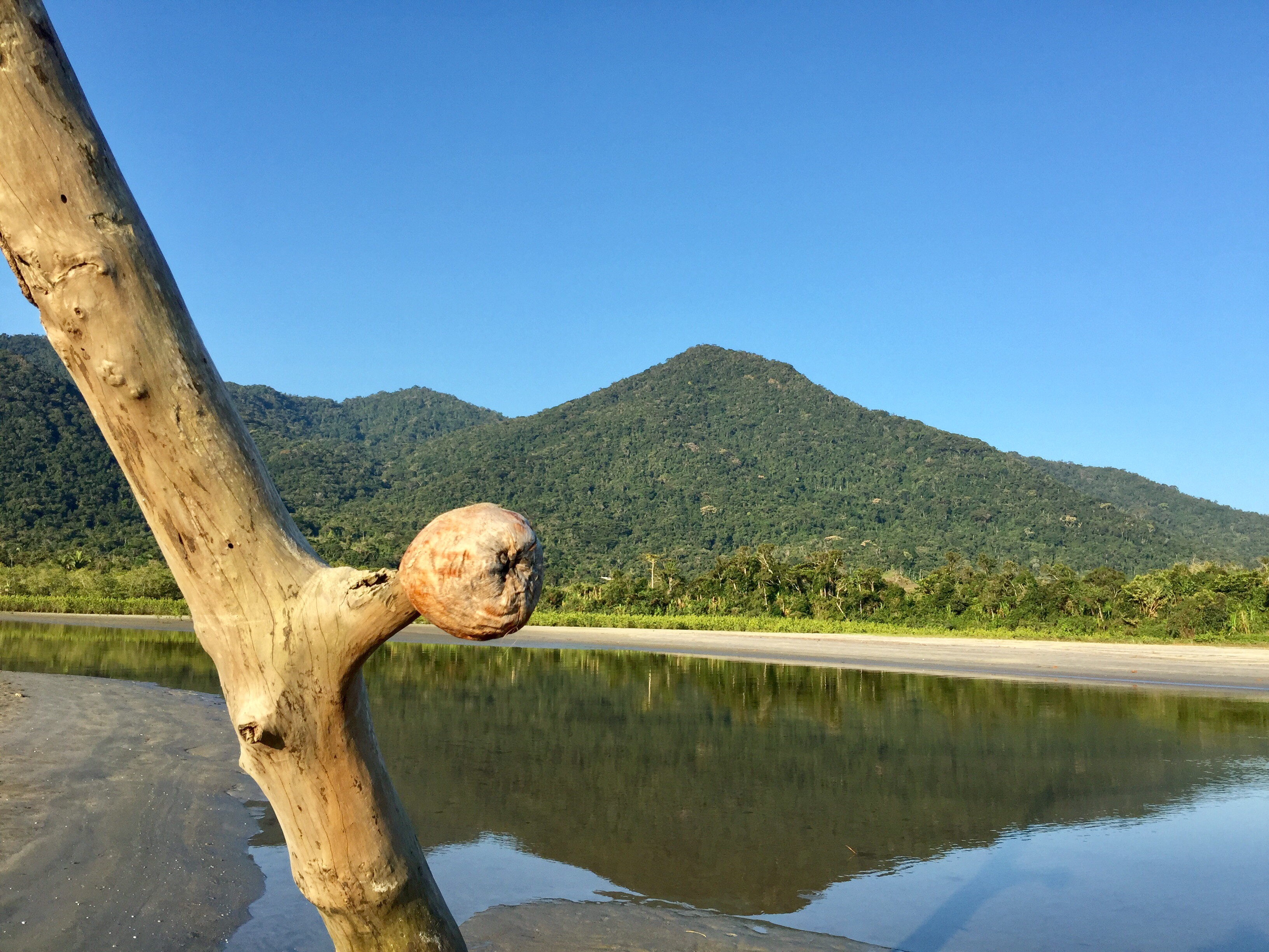 Parque Estadual da Serra do Mar — Mata Atlântica