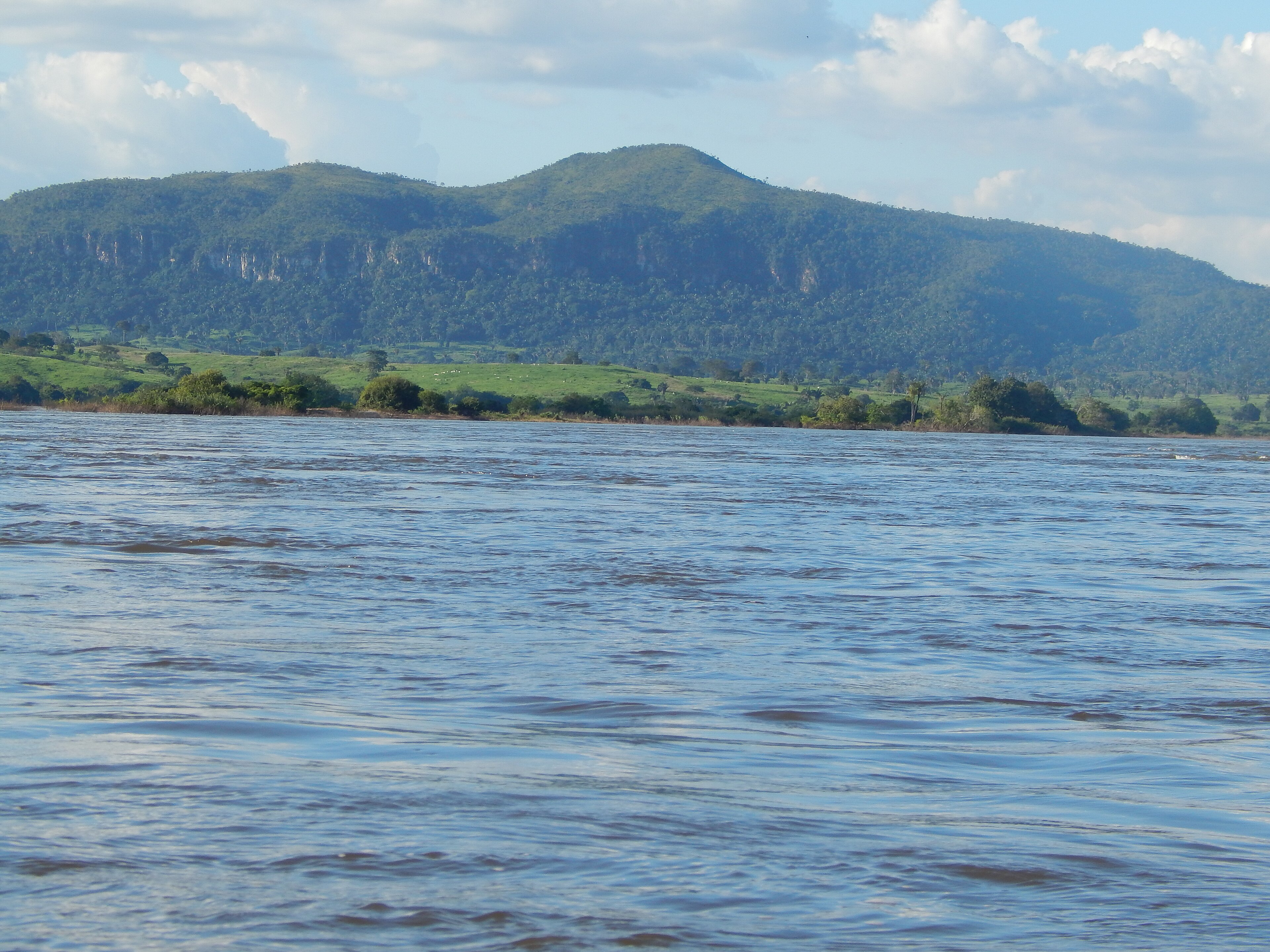 Parque Estadual da Serra dos Martírios/andorinhas — Amazônia
