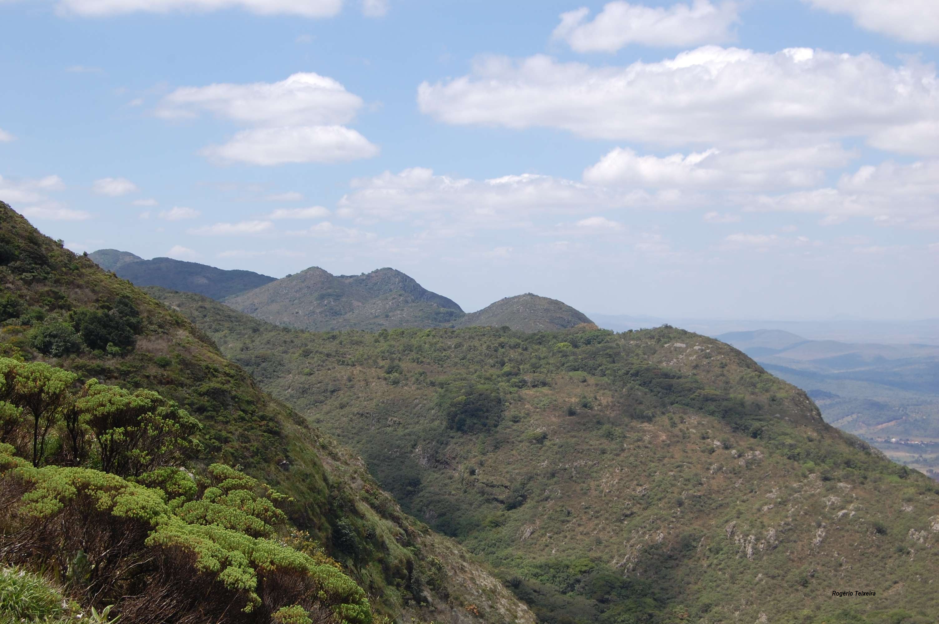 Parque Estadual das Sete Passagens — Caatinga