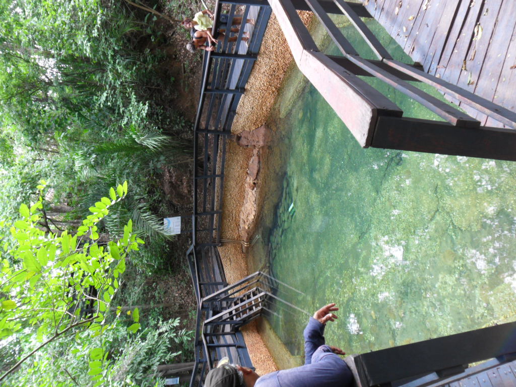 Parque Estadual de Águas Quentes — Cerrado