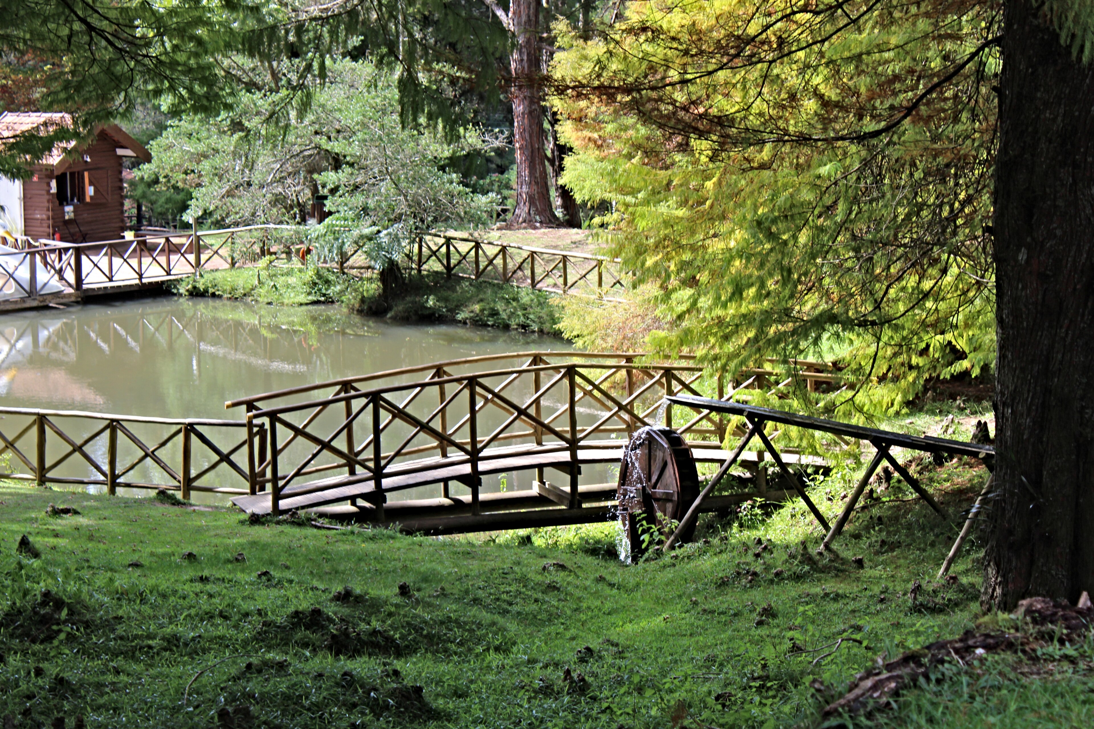 Parque Estadual de Campos do Jordão — Mata Atlântica