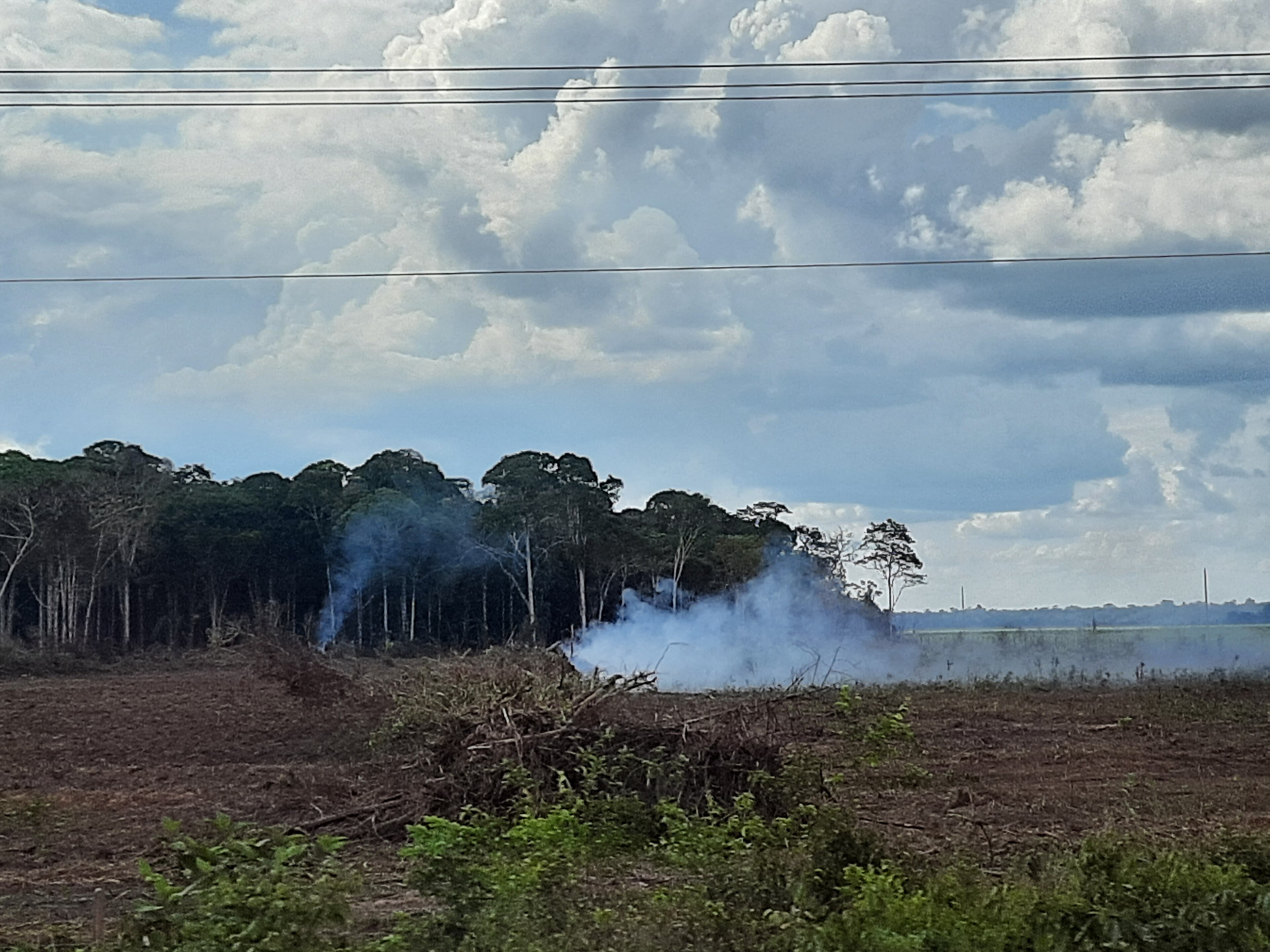 Parque Estadual de Guajará-mirim — Amazônia