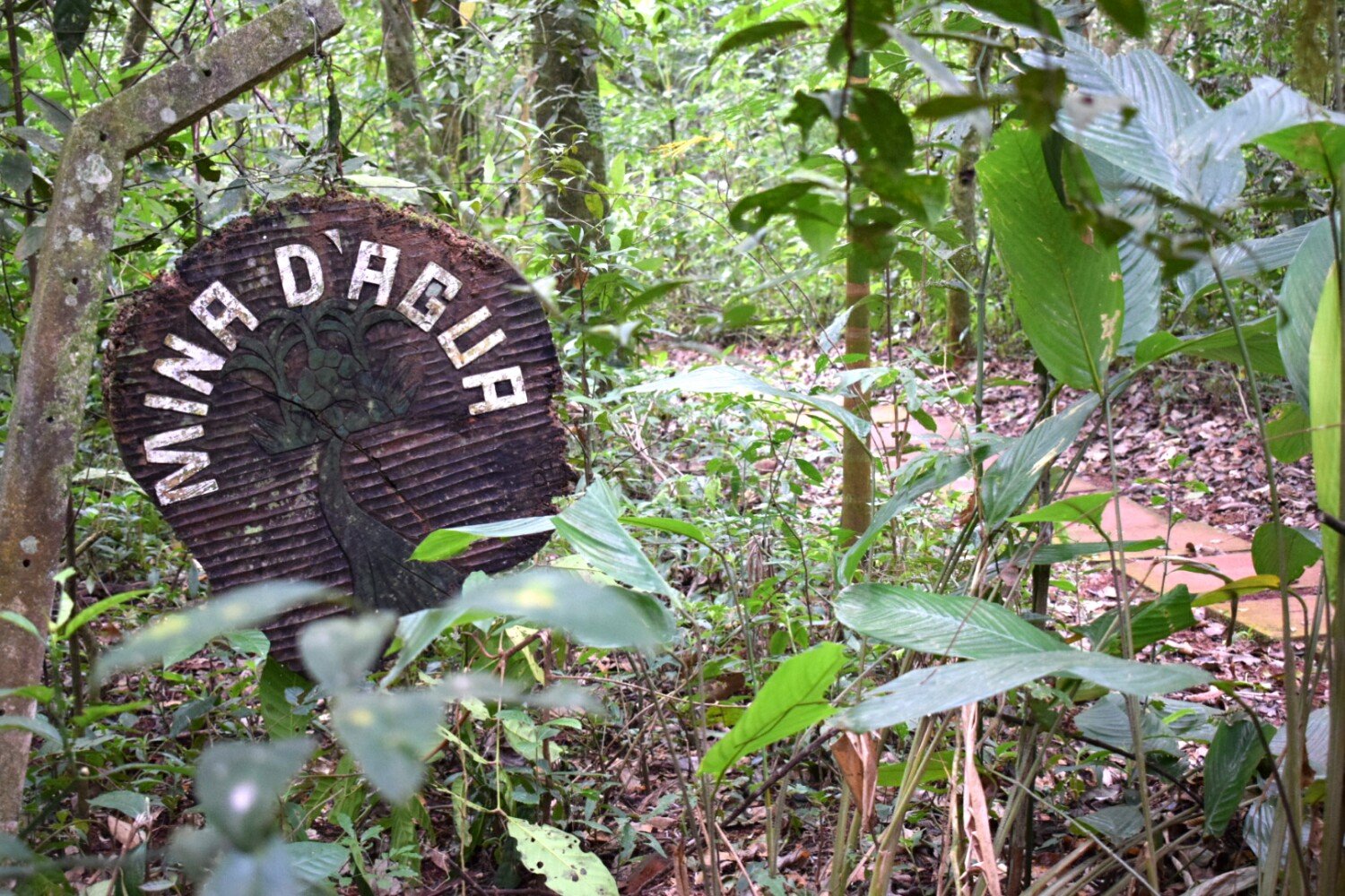 Parque Estadual de Ibiporã — Mata Atlântica