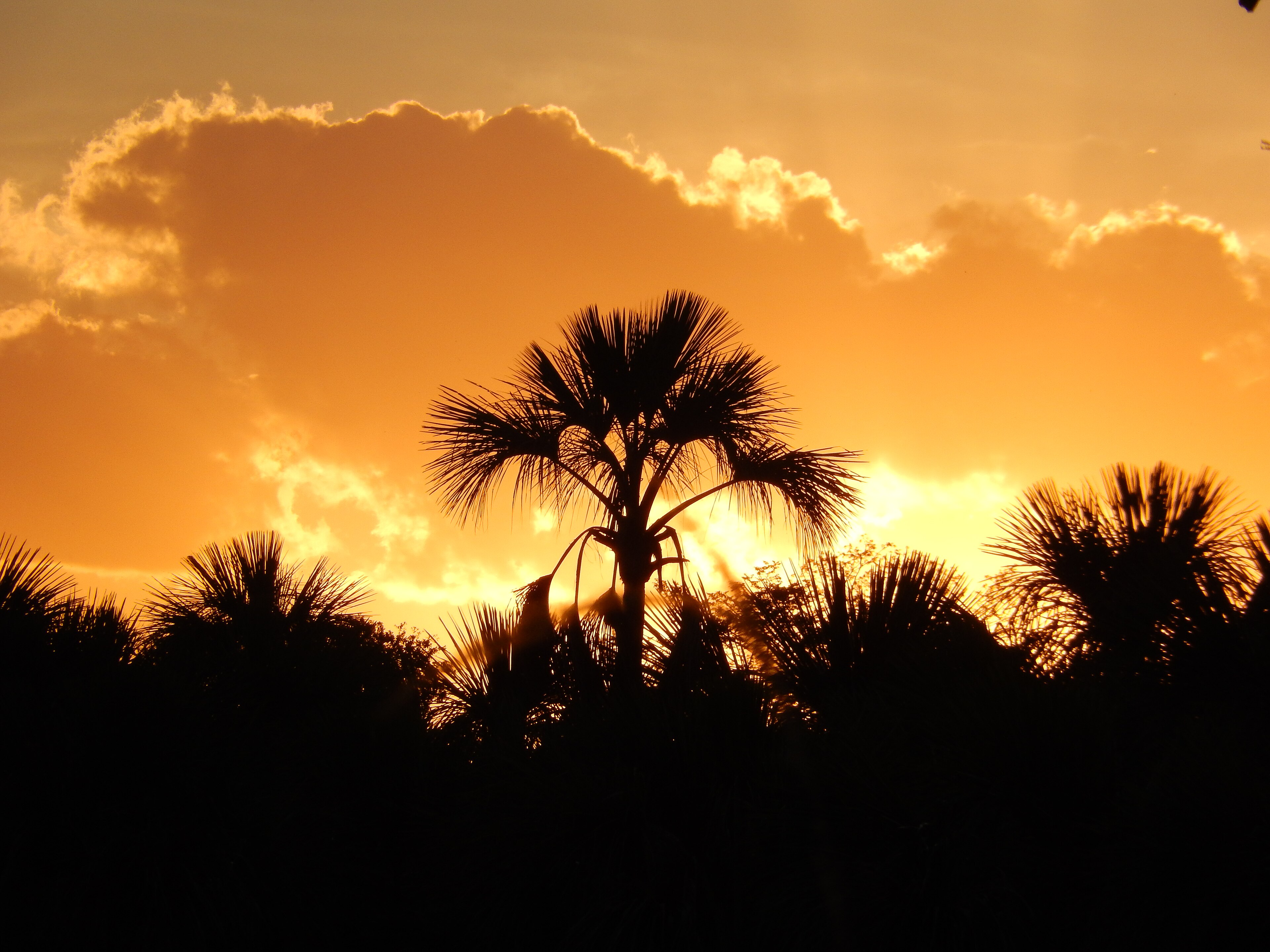 Parque Estadual de Sagarana — Cerrado