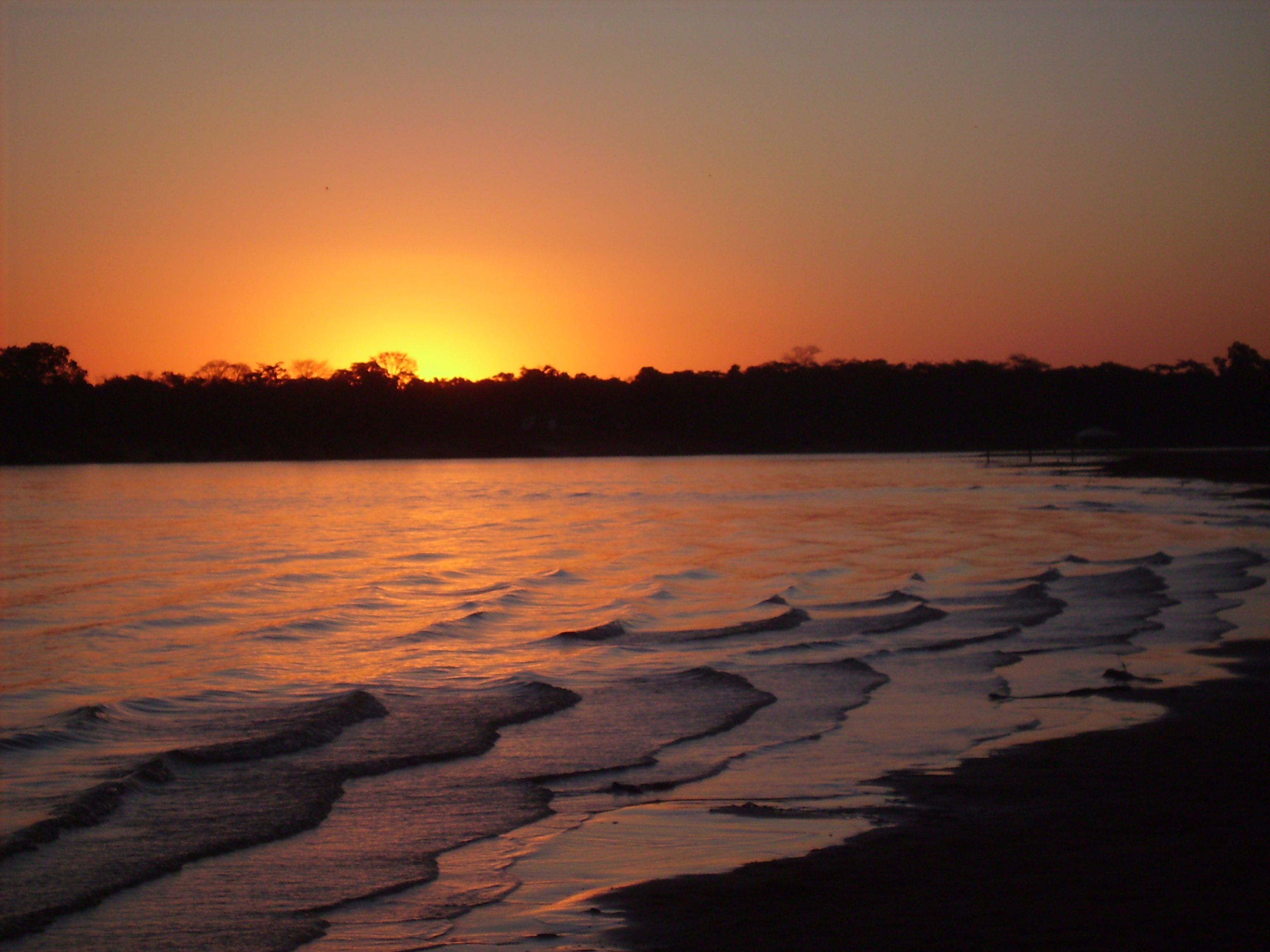 Parque Estadual do Araguaia — Cerrado
