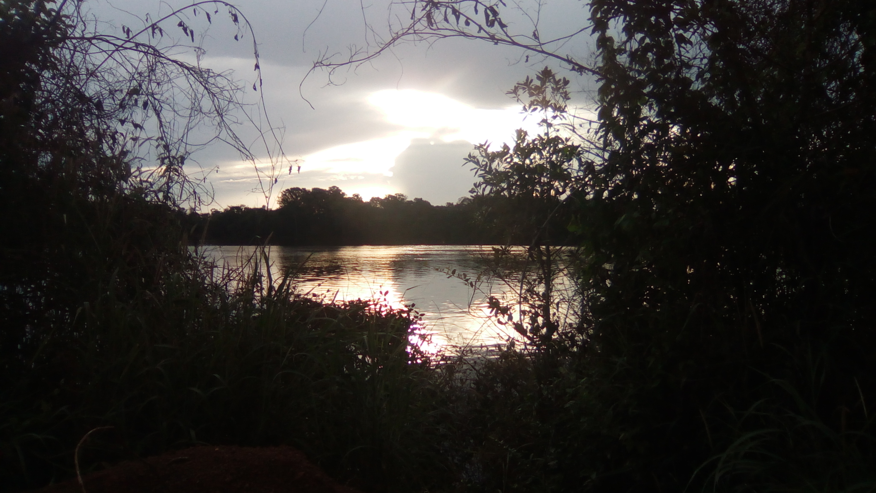 Parque Estadual do Cantão — Cerrado