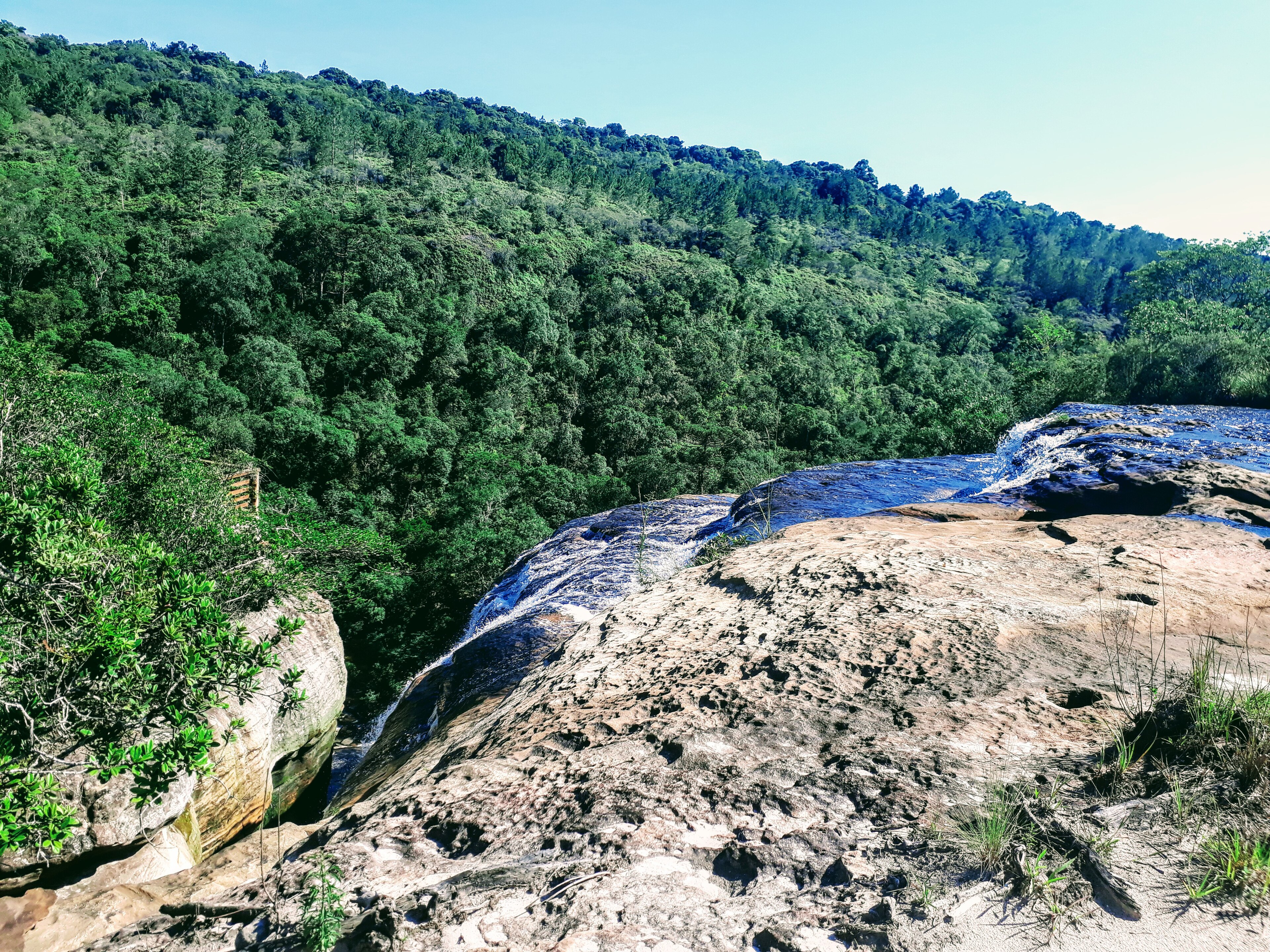 Parque Estadual do Cerrado — Cerrado