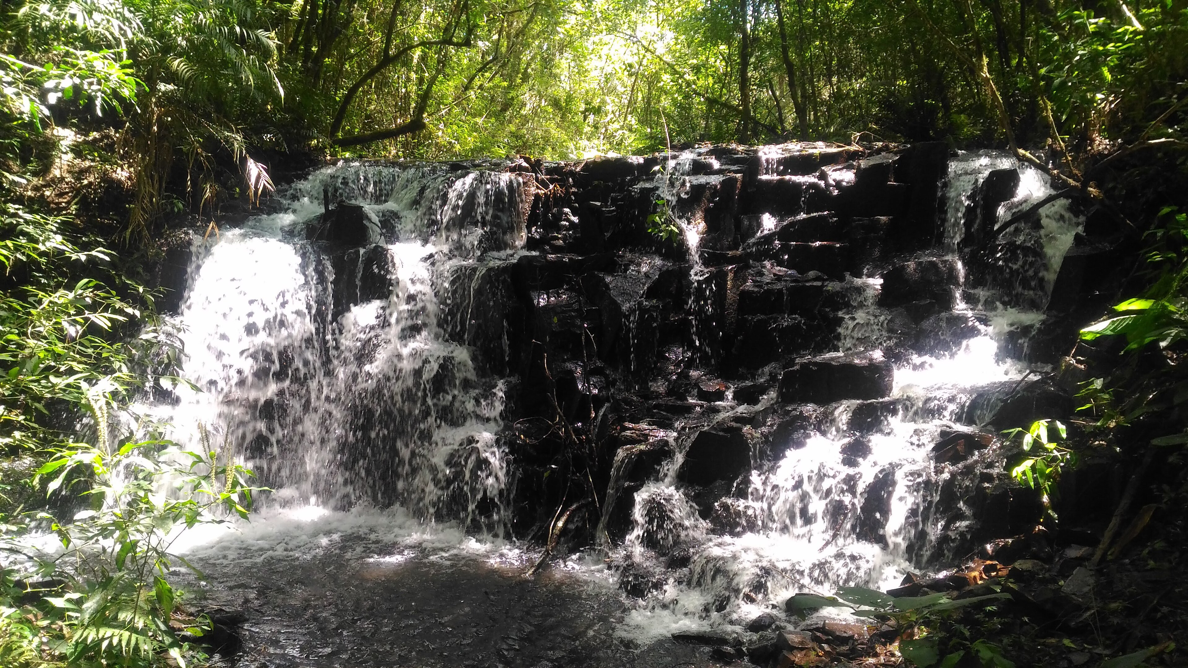 Parque Estadual do Lago Azul — Mata Atlântica