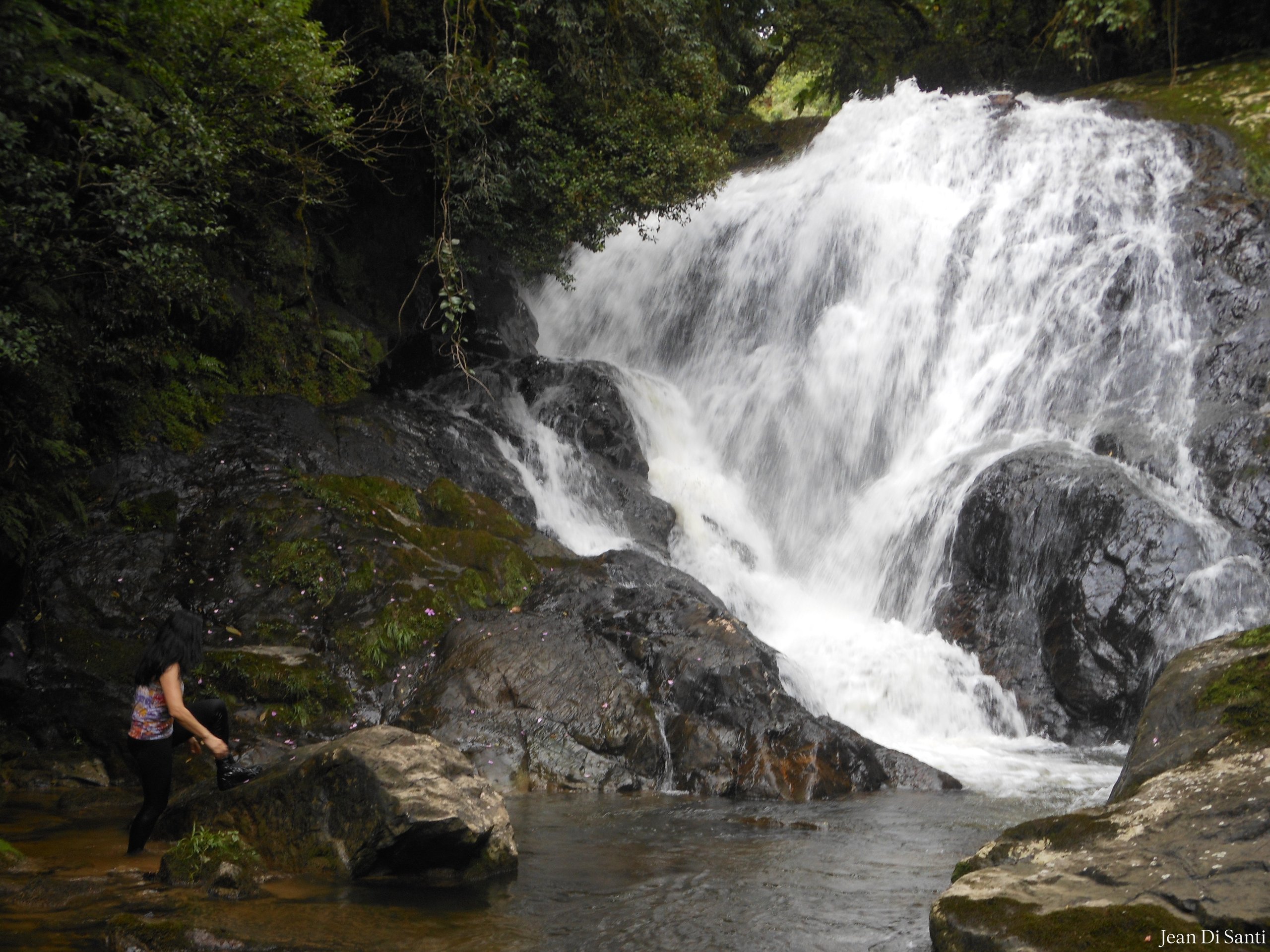 Parque Estadual do Pau-oco — Mata Atlântica