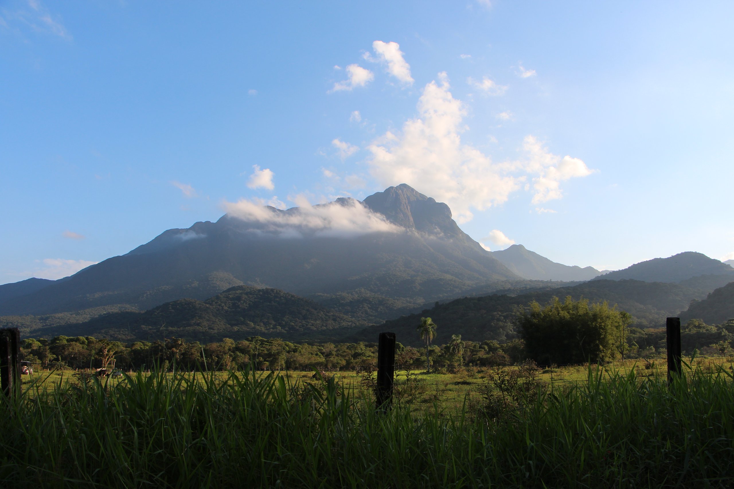 Parque Estadual do Pico Marumbi — Mata Atlântica