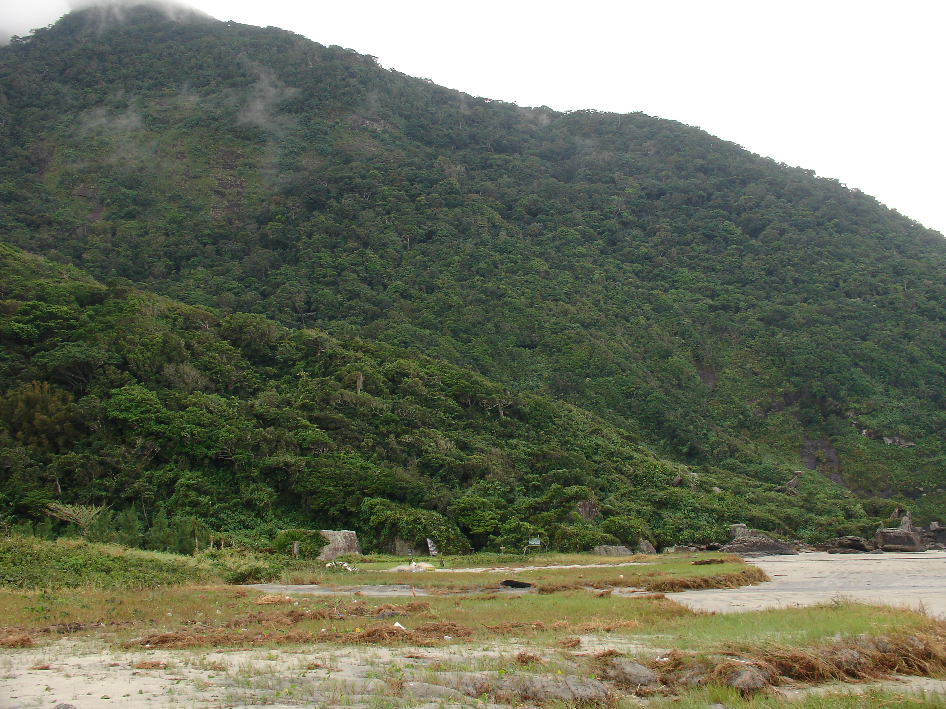 Parque Estadual do Prelado — Mata Atlântica