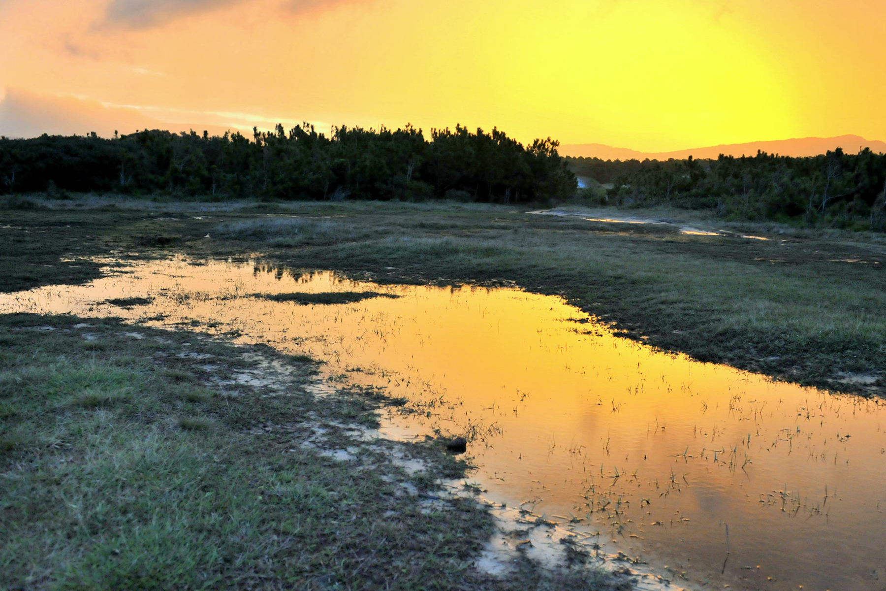 Parque Estadual do Rio Vermelho — Mata Atlântica