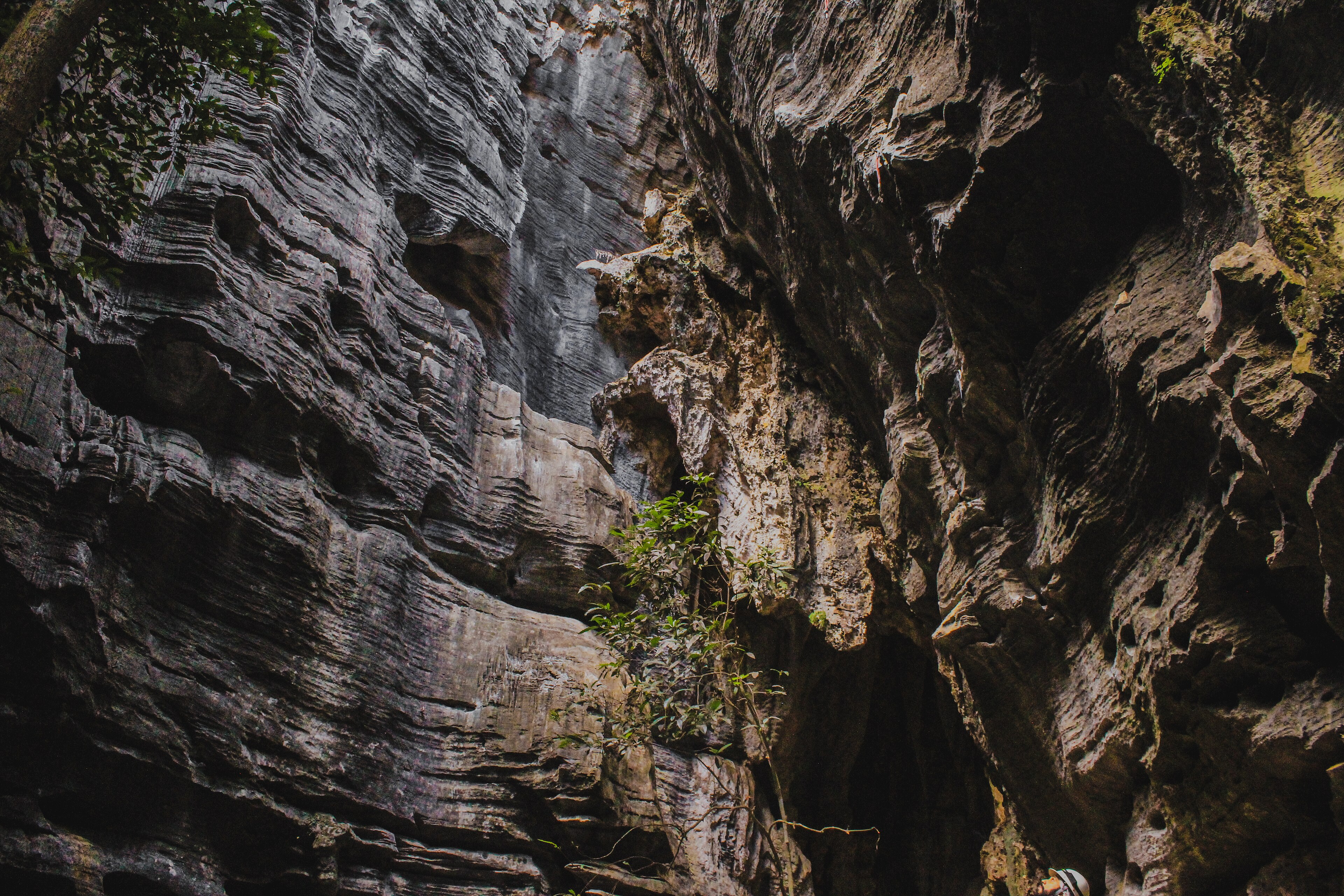 Parque Estadual do Sumidouro — Cerrado