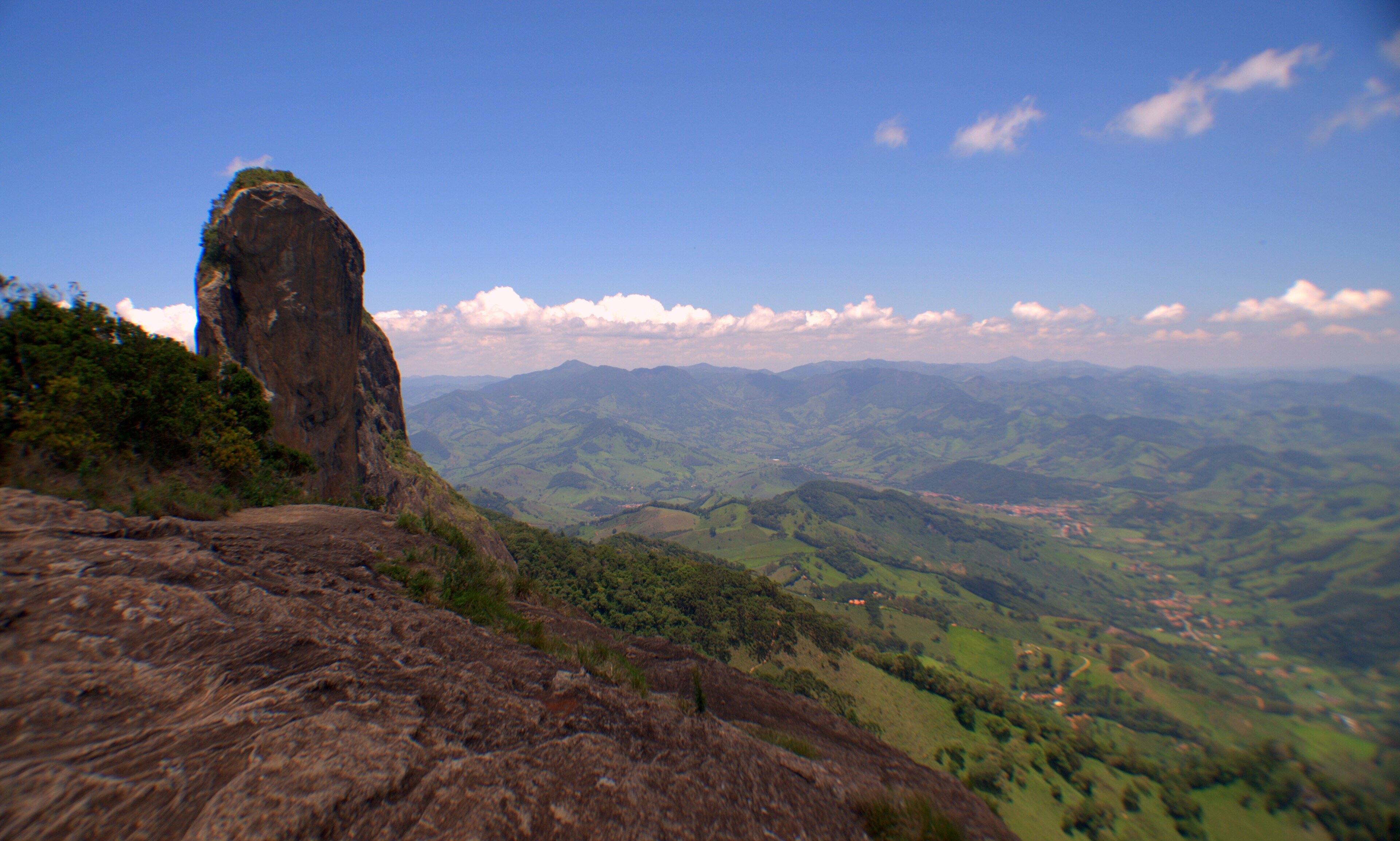 Parque Estadual dos Mananciais de Campos do Jordão — Mata Atlântica