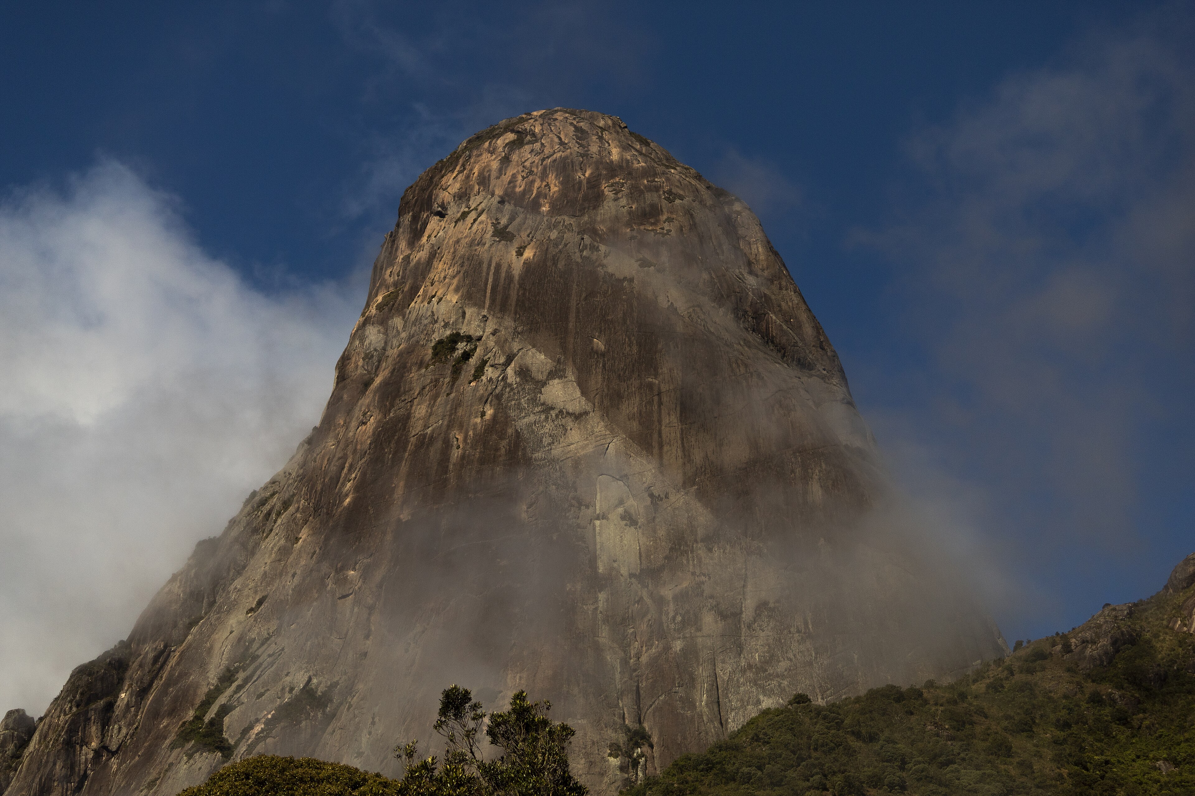 Parque Estadual dos Três Picos — Mata Atlântica