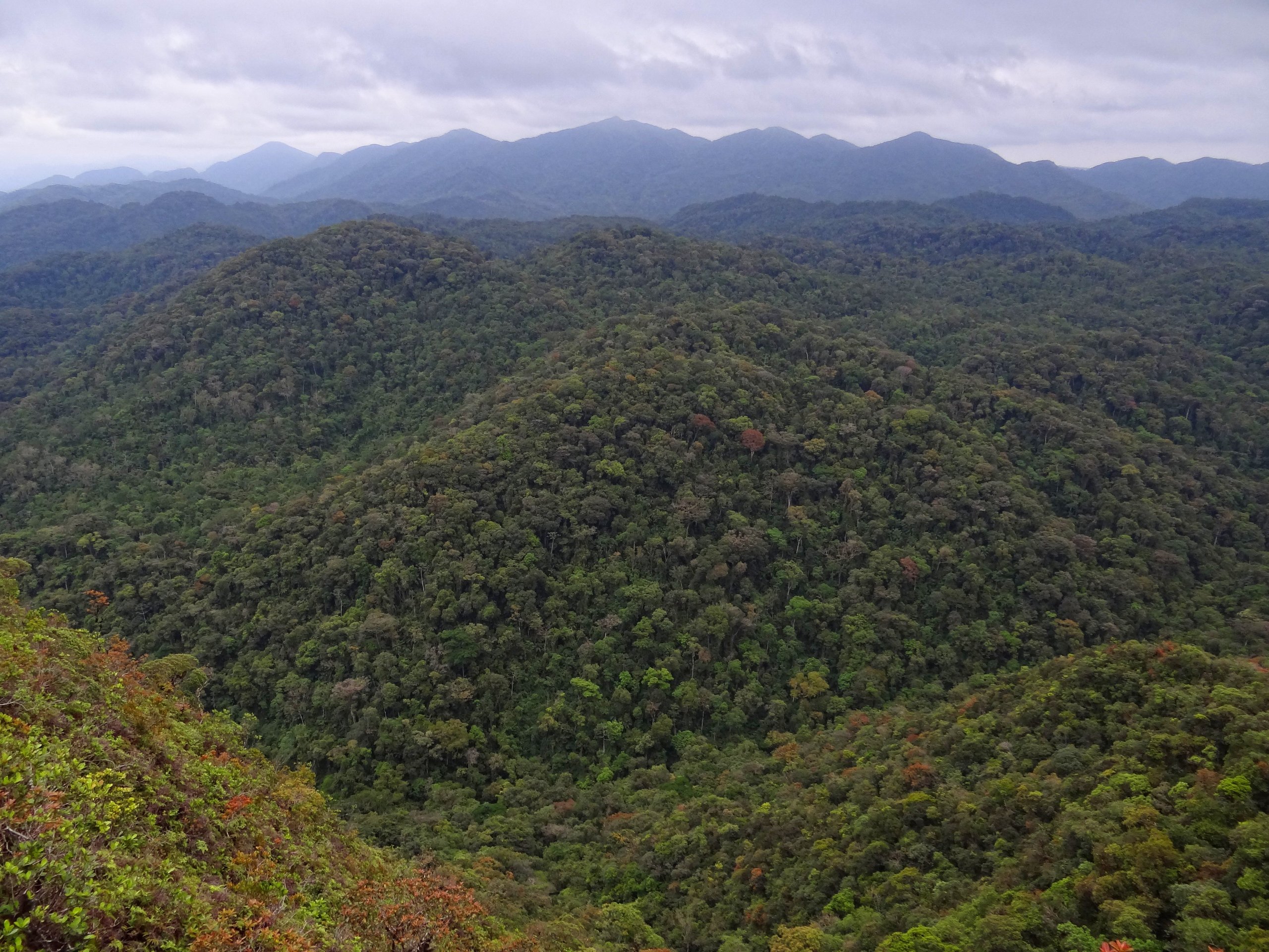 Parque Estadual Intervales — Mata Atlântica