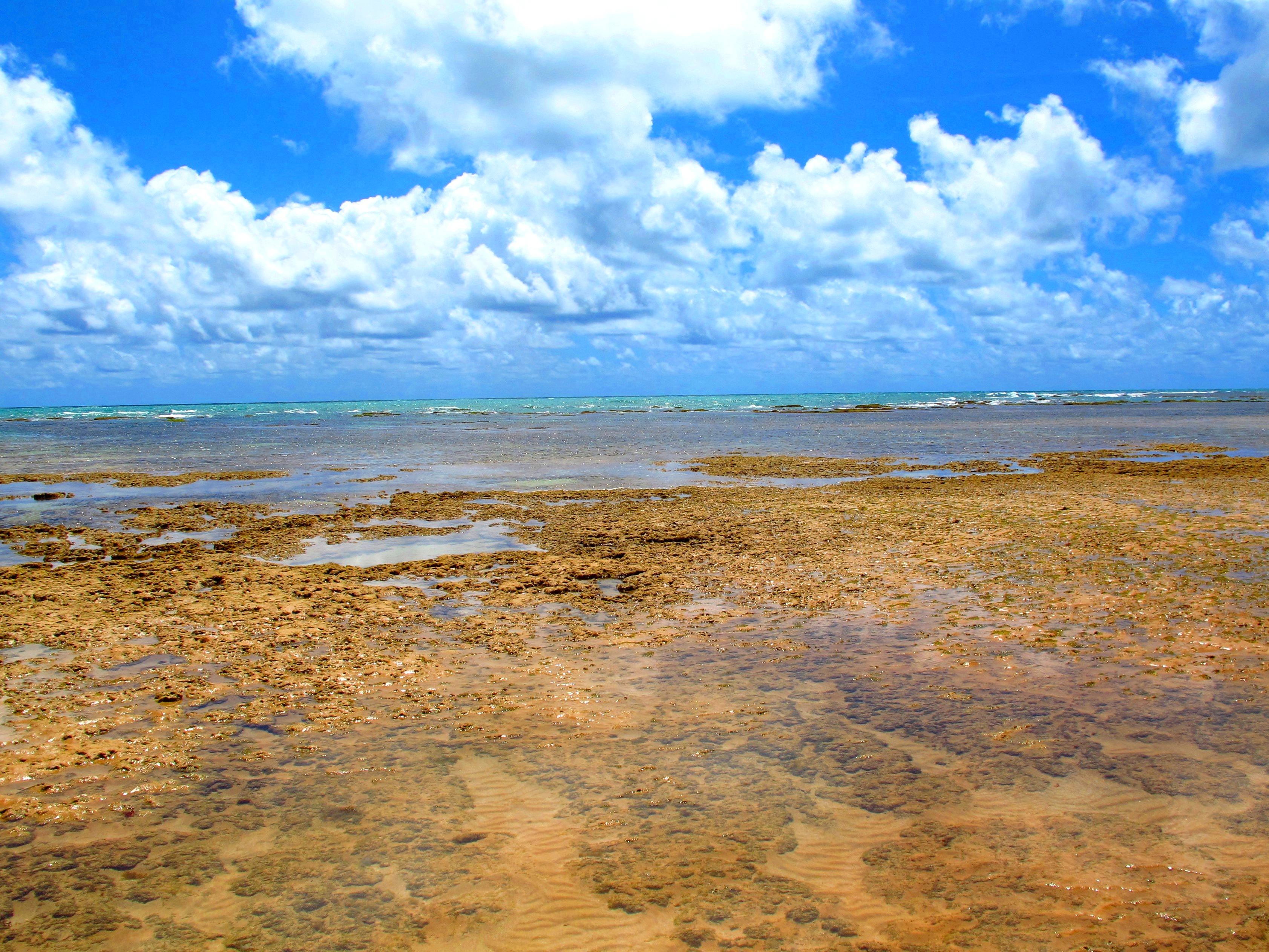 Parque Estadual Marinho de Areia Vermelha — Mata Atlântica