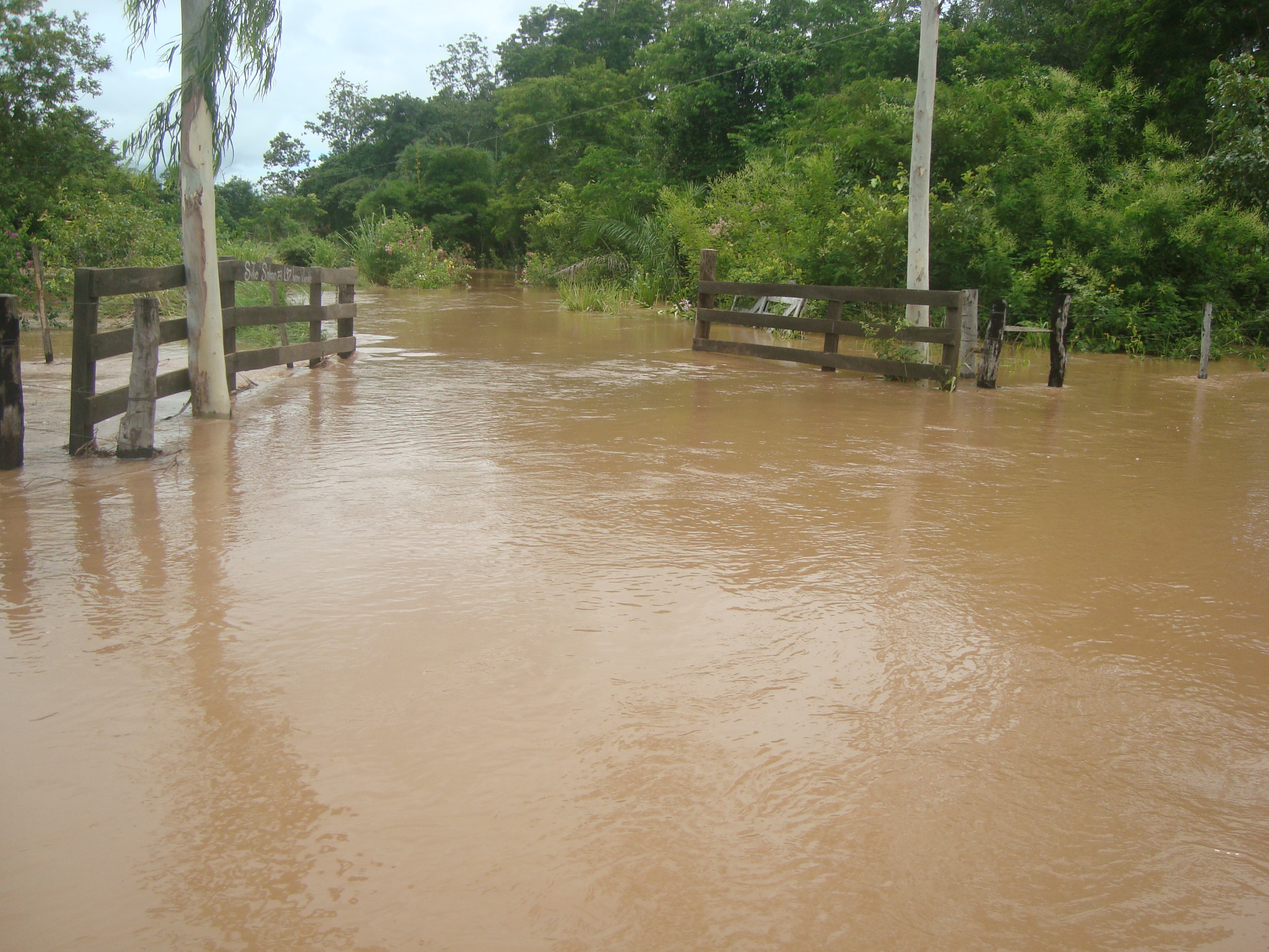 Parque Estadual Massairo Okamura — Cerrado