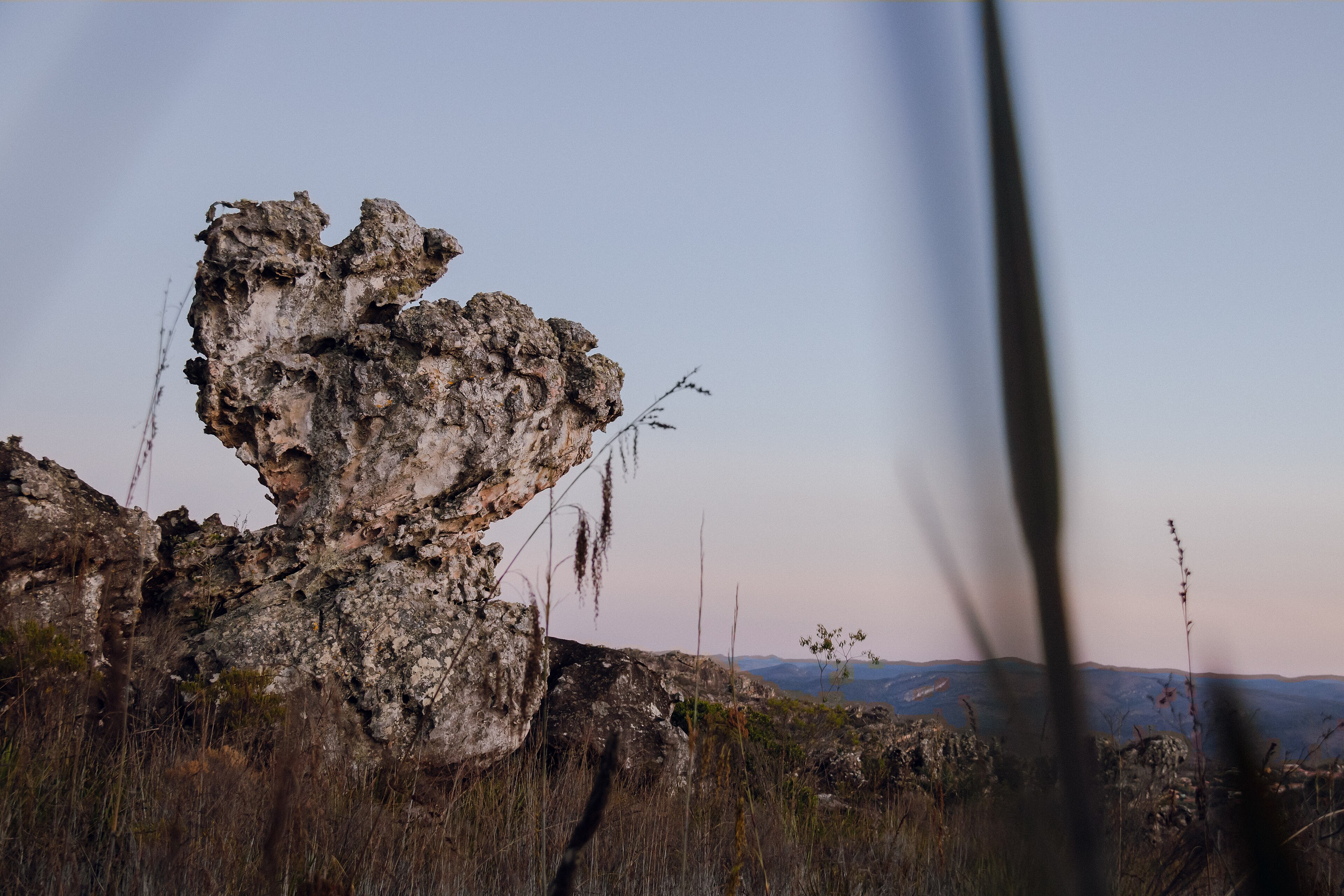 Parque Estadual Pico do Itambé — Cerrado