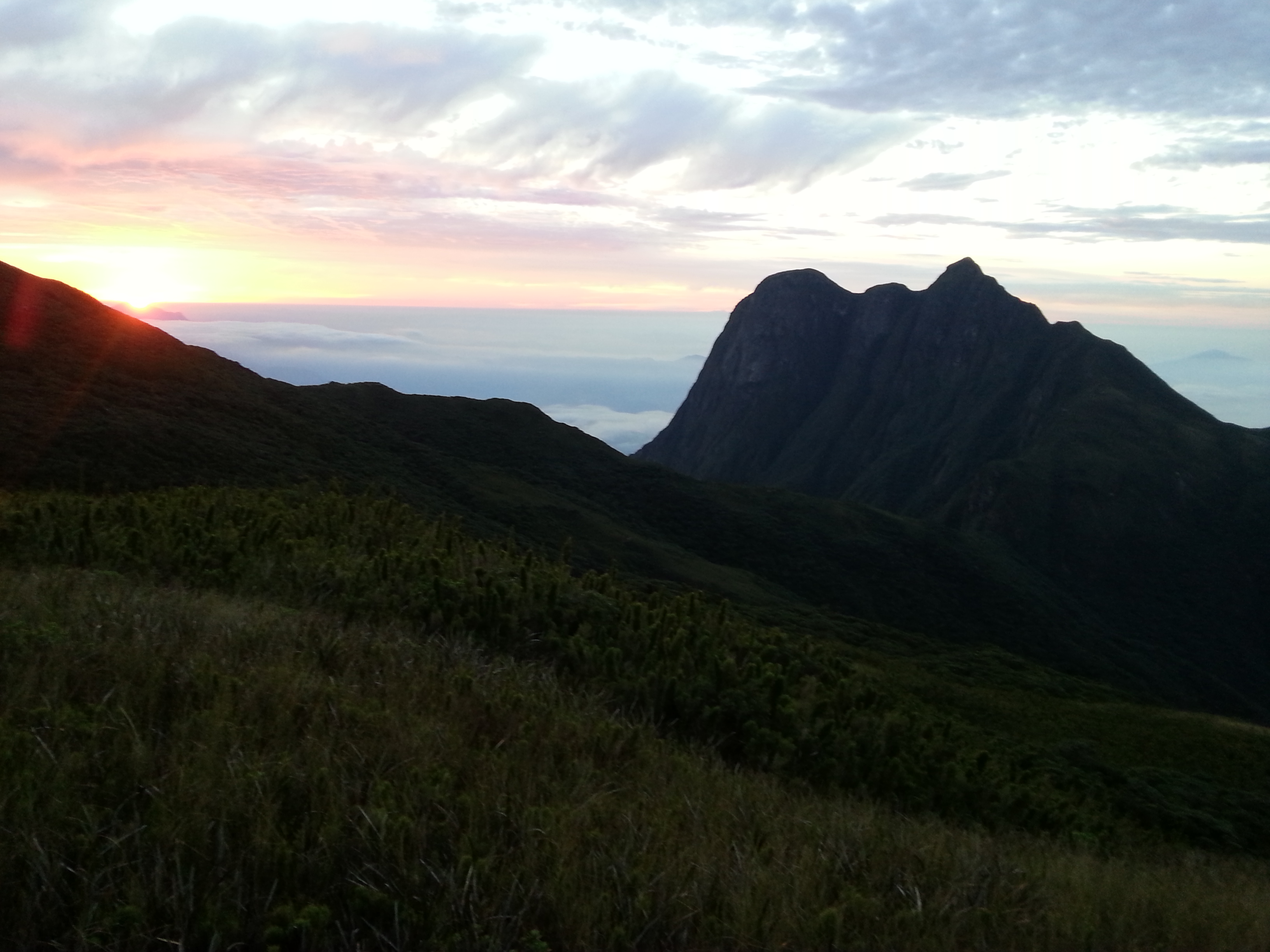 Parque Estadual Pico Paraná — Mata Atlântica