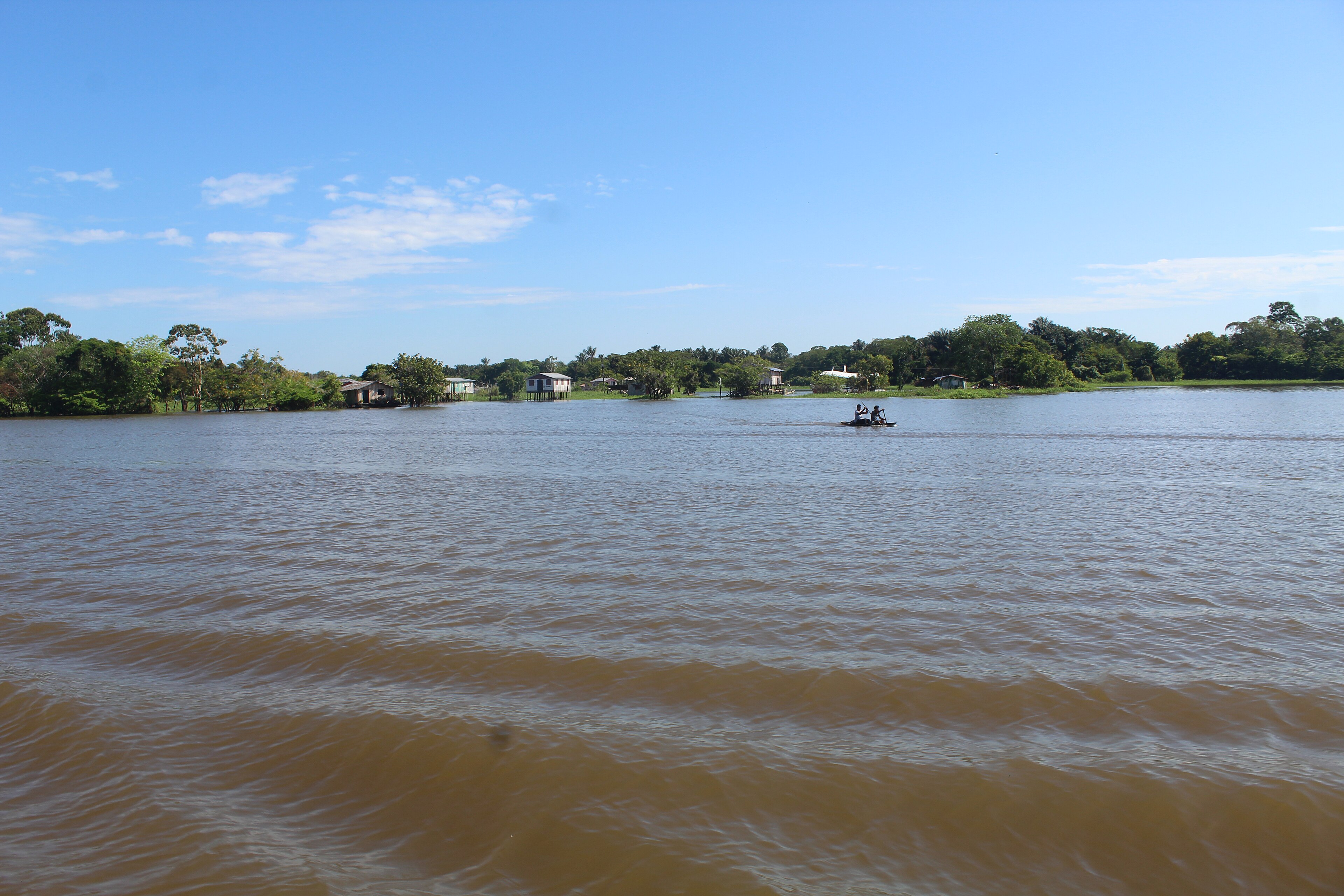 Parque Estadual Rio Negro Setor Norte — Amazônia