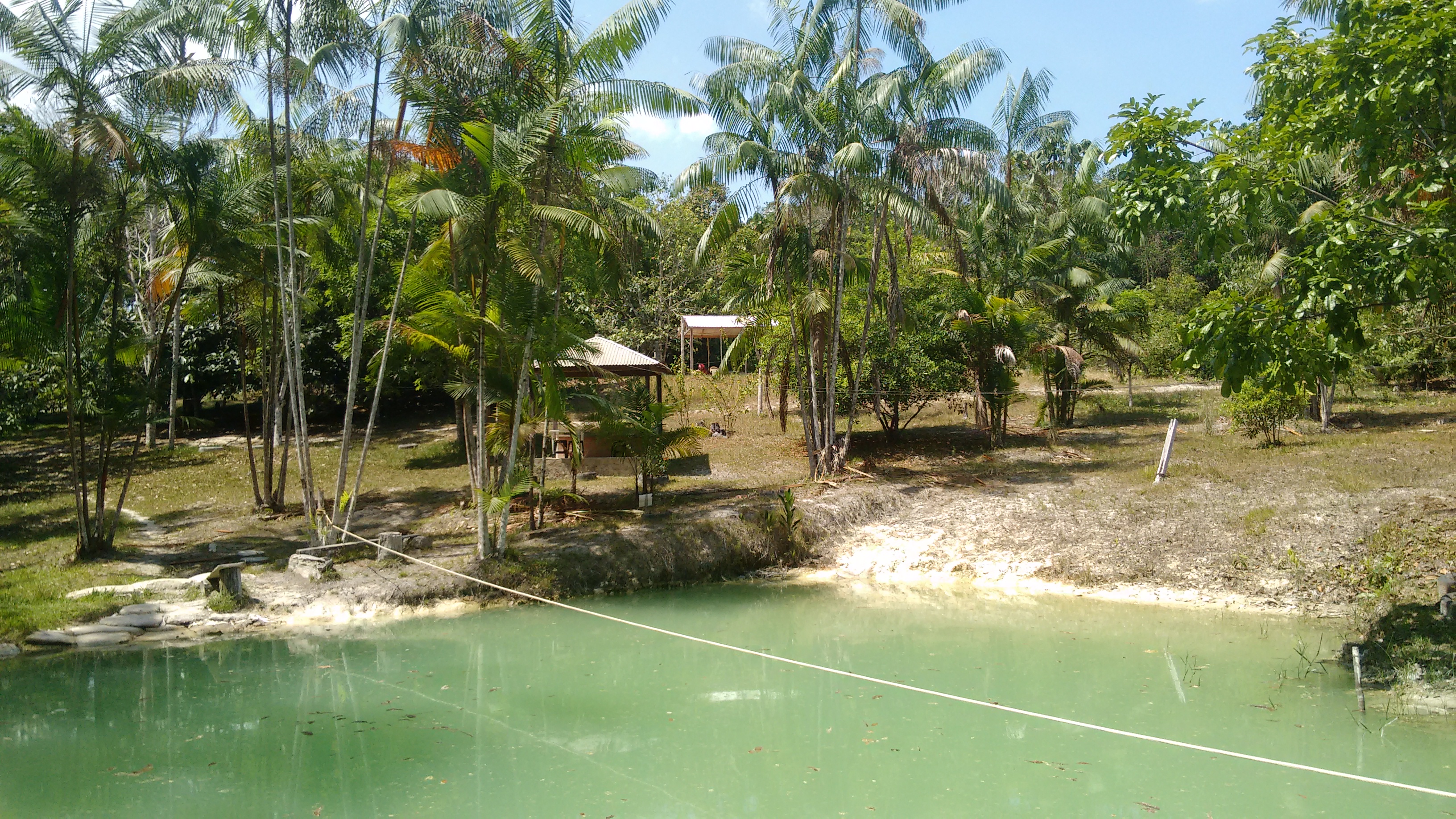 Parque Estadual Rio Negro Setor Sul — Amazônia