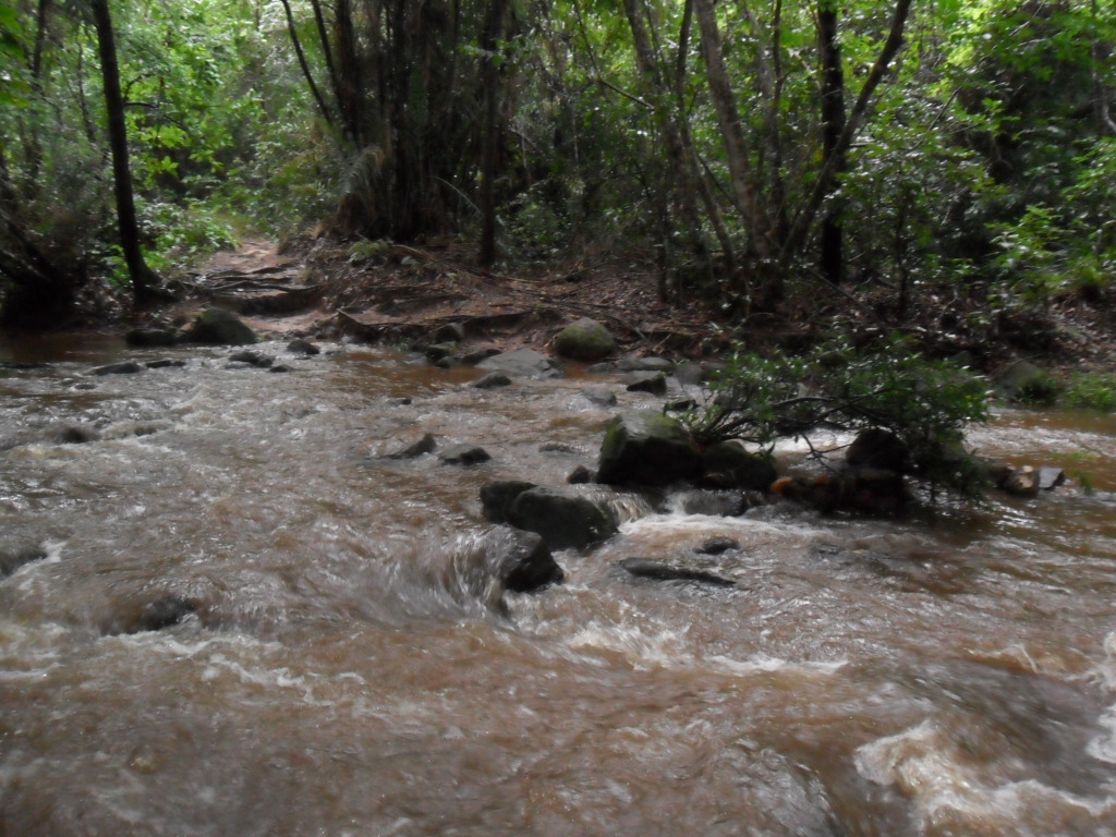 Parque Estadual Serra Azul — Cerrado