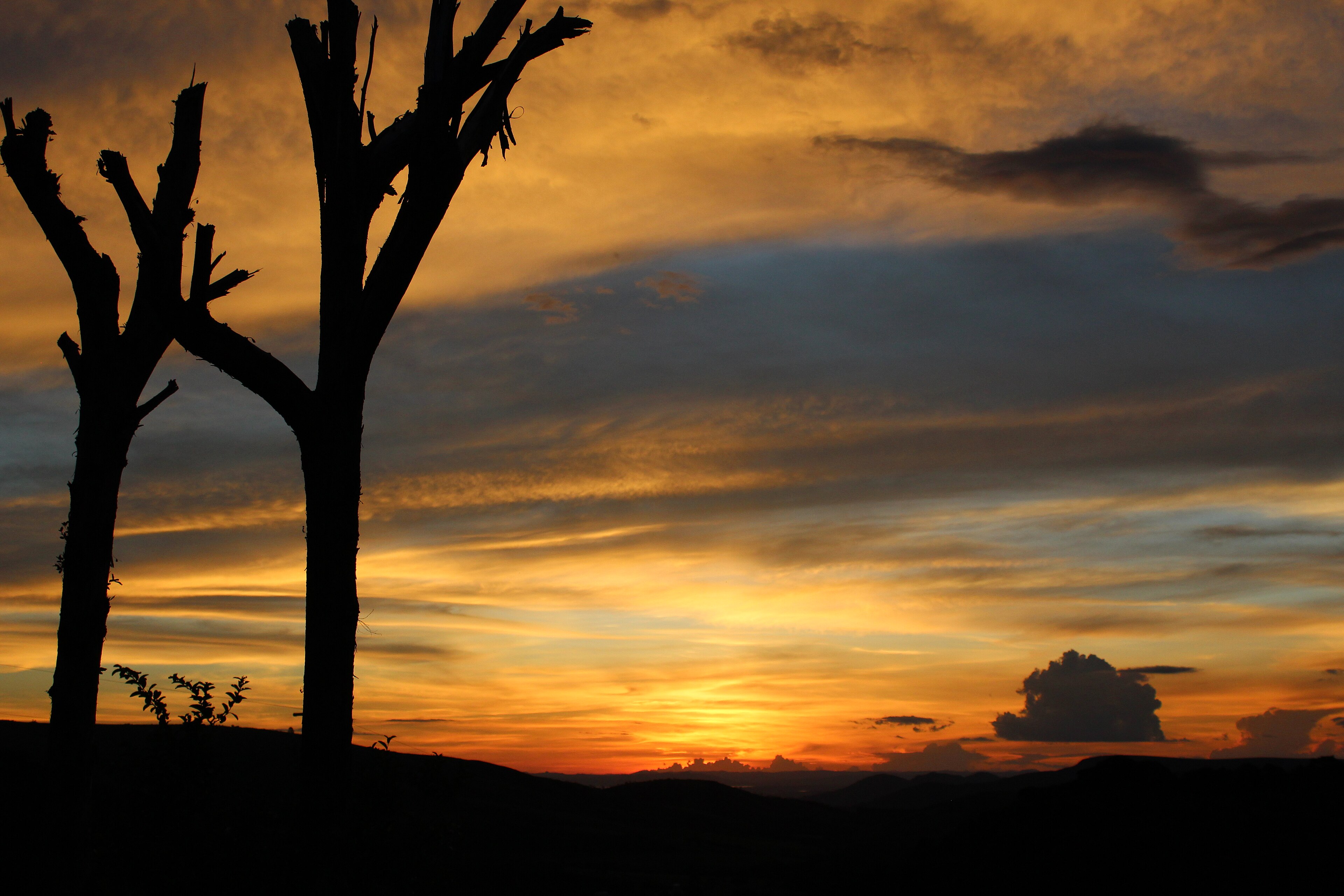 Parque Estadual Serra da Boa Esperança — Cerrado