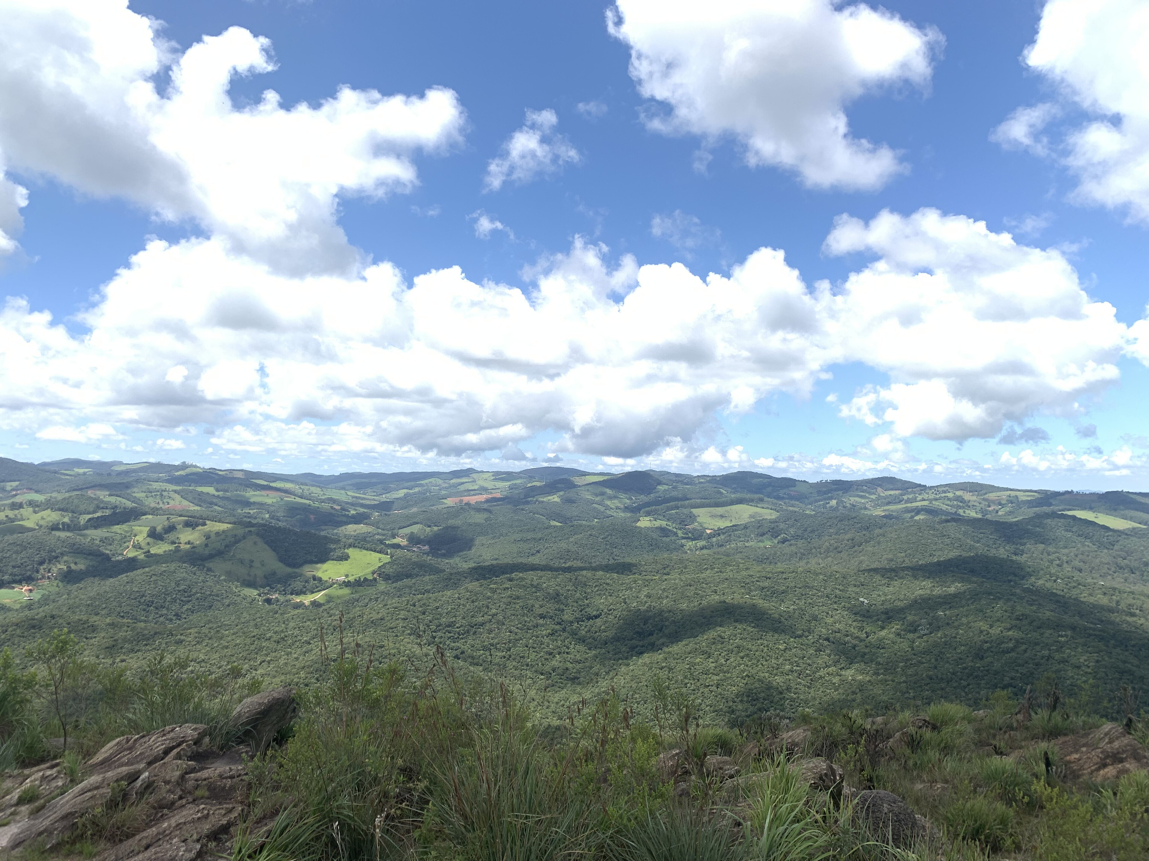 Parque Estadual Serra do Ouro Branco — Mata Atlântica