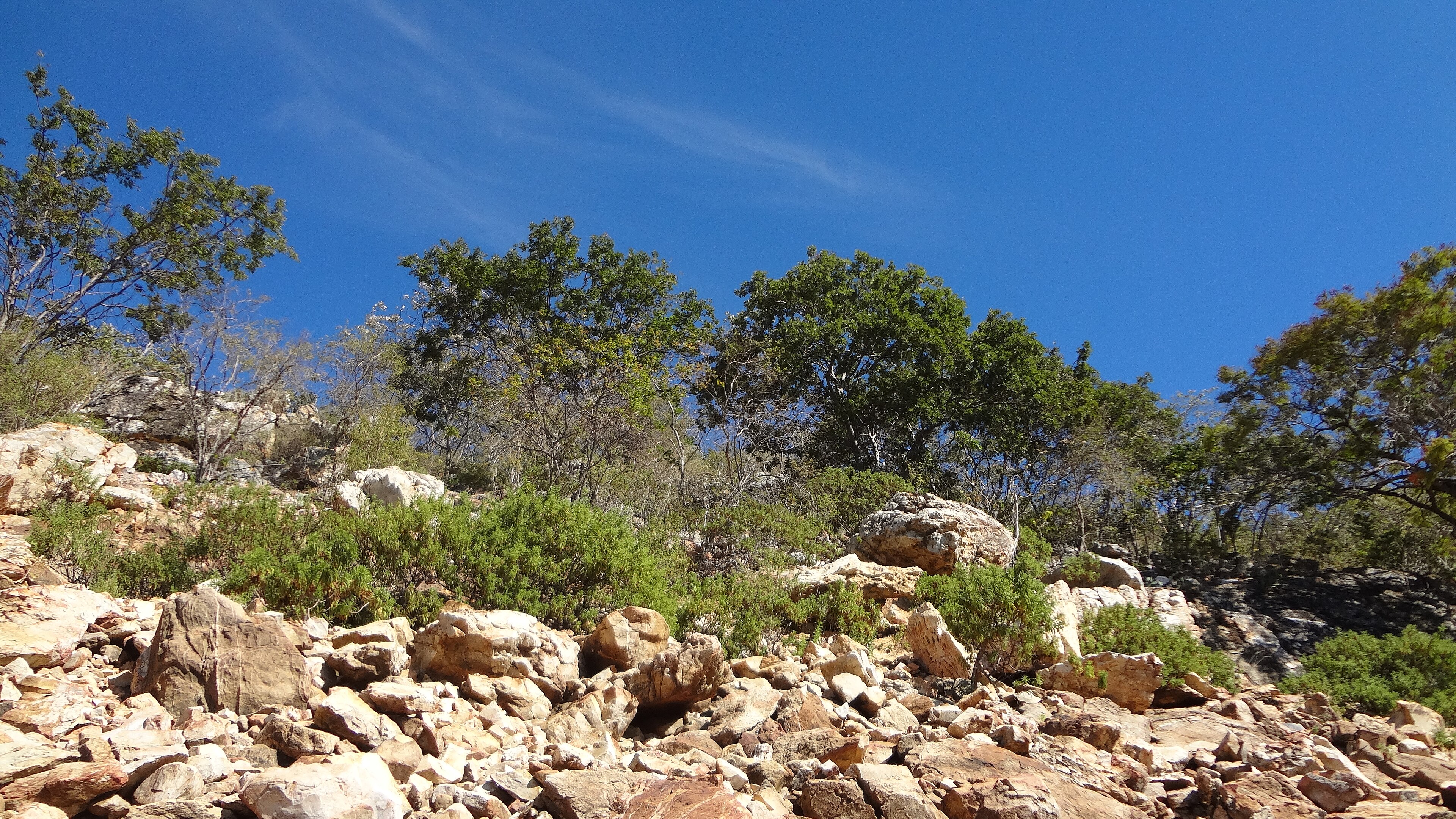 Parque Estadual Serra Nova e Talhado — Cerrado