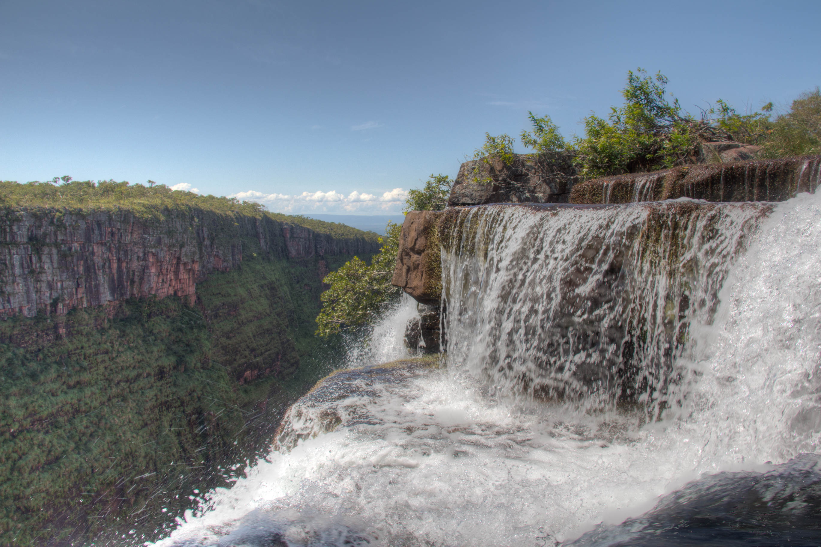 Parque Estadual Serra Ricardo Franco — Amazônia