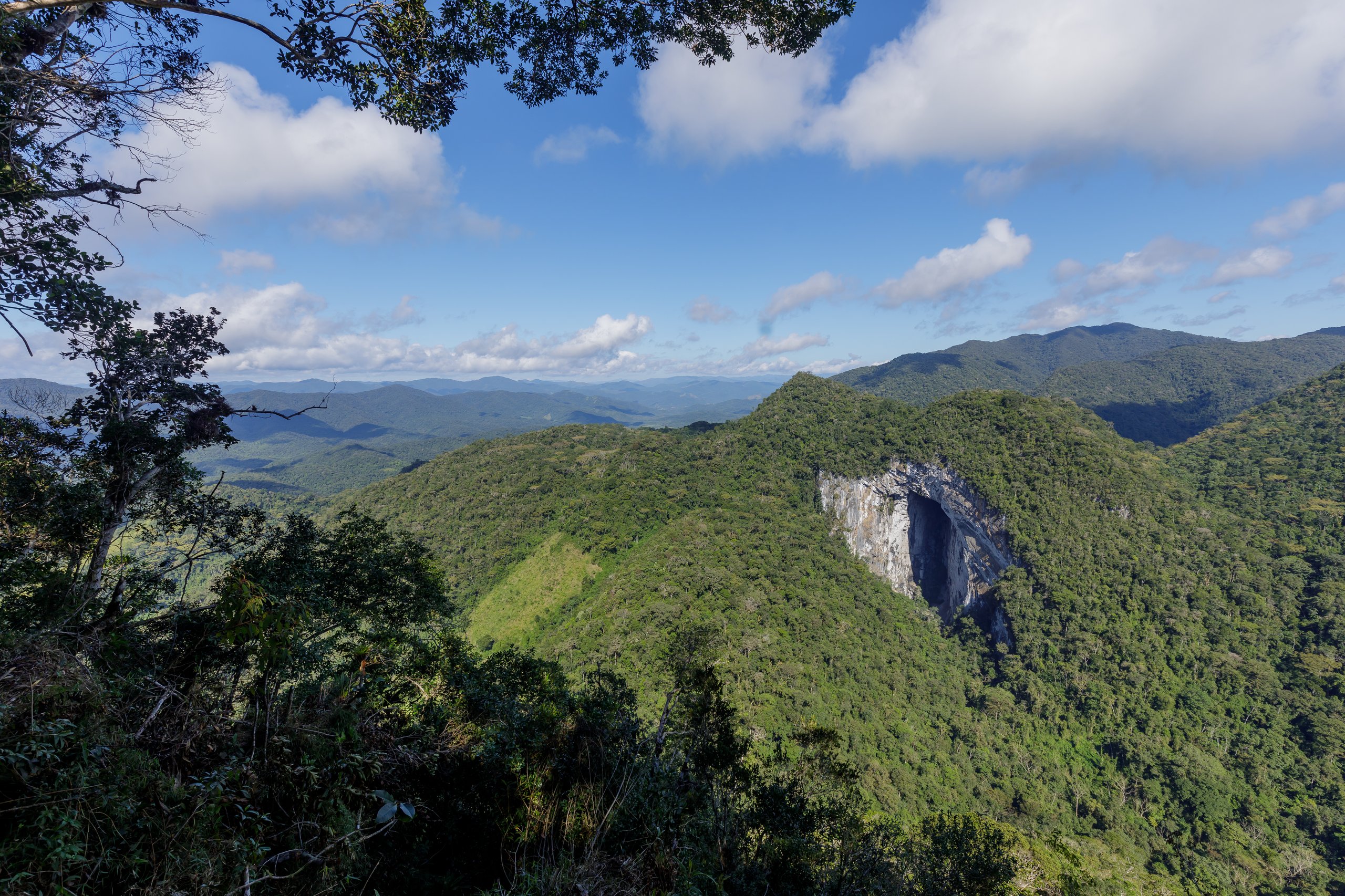 Parque Estadual Turístico do Alto do Ribeira — Mata Atlântica