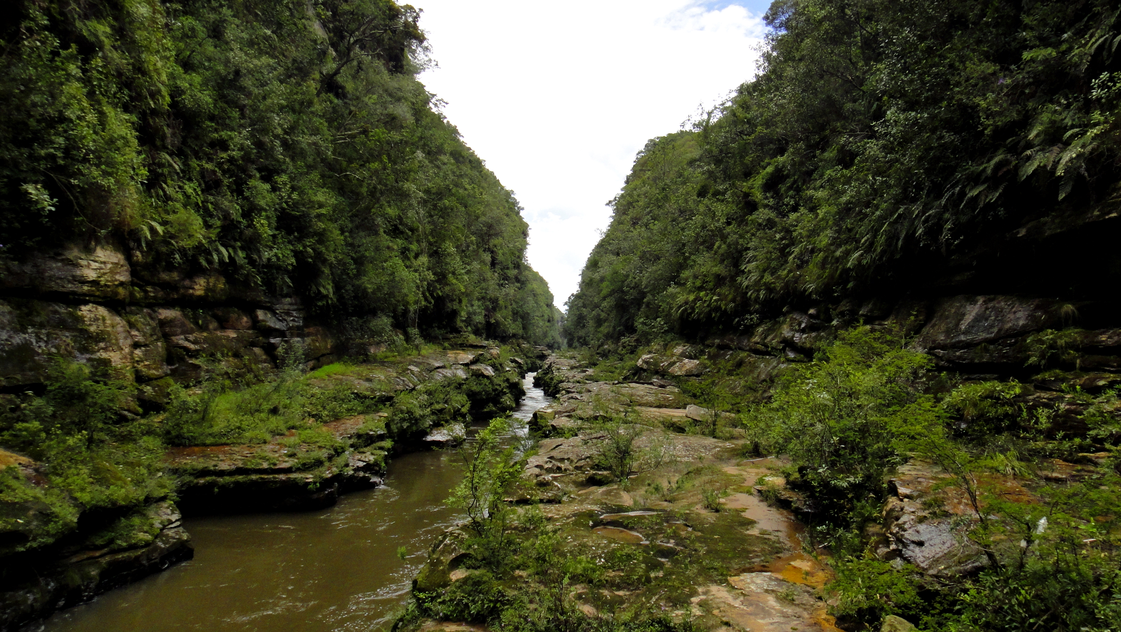 Parque Estadual Vale do Códo — Mata Atlântica