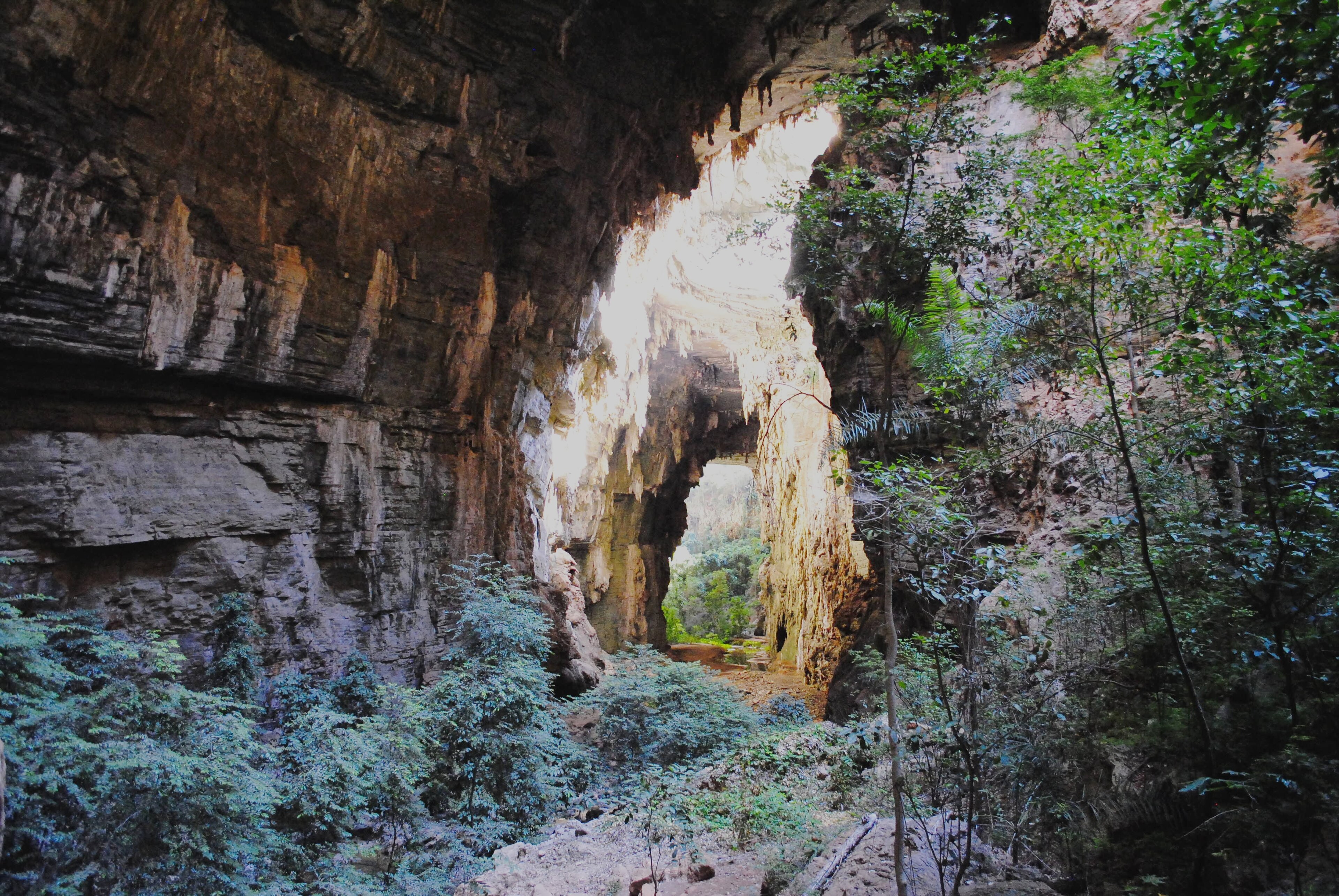 Parque Estadual Veredas do Peruaçu — Cerrado