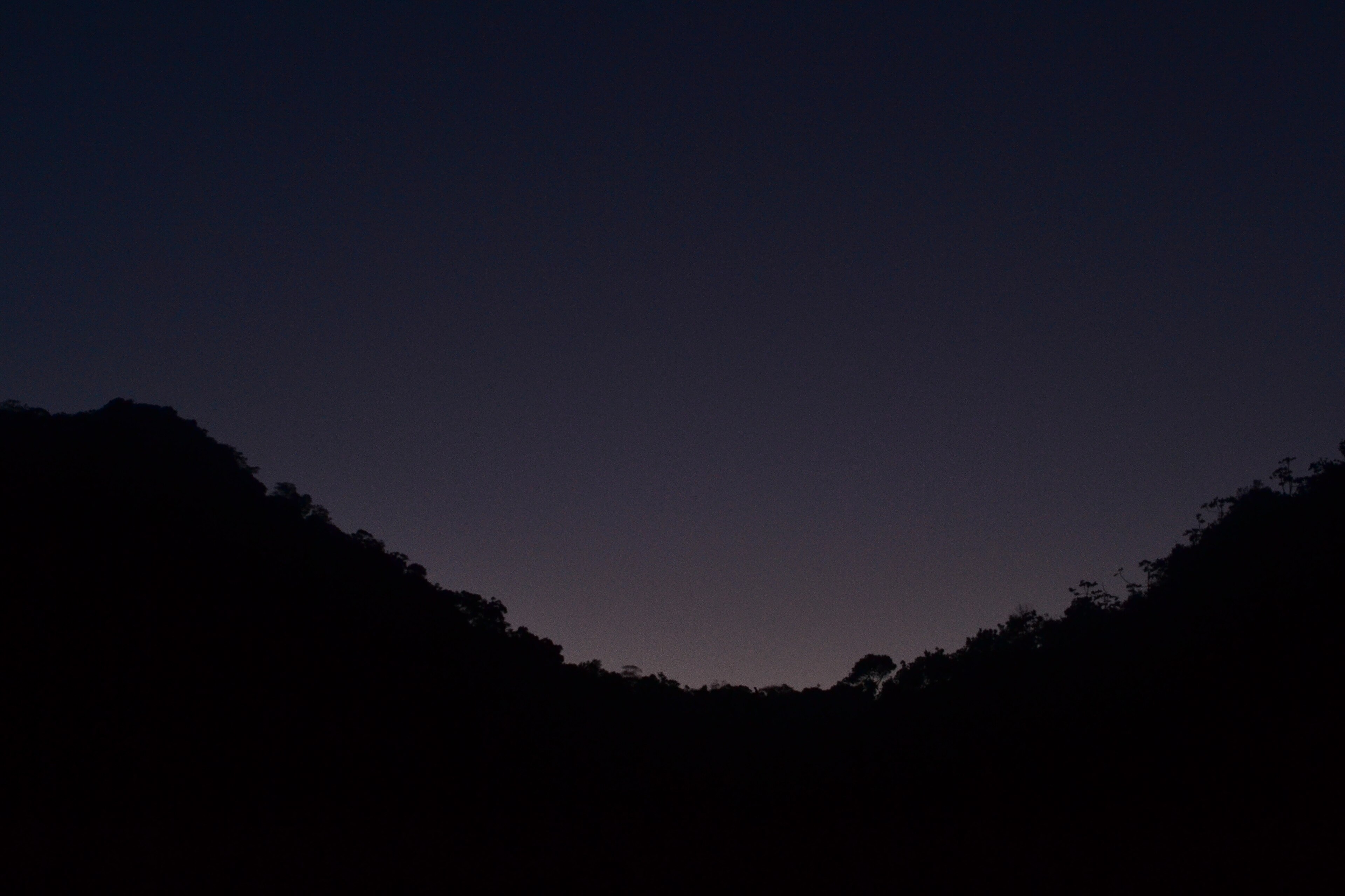 Parque Estadual Xixová-japuí — Mata Atlântica