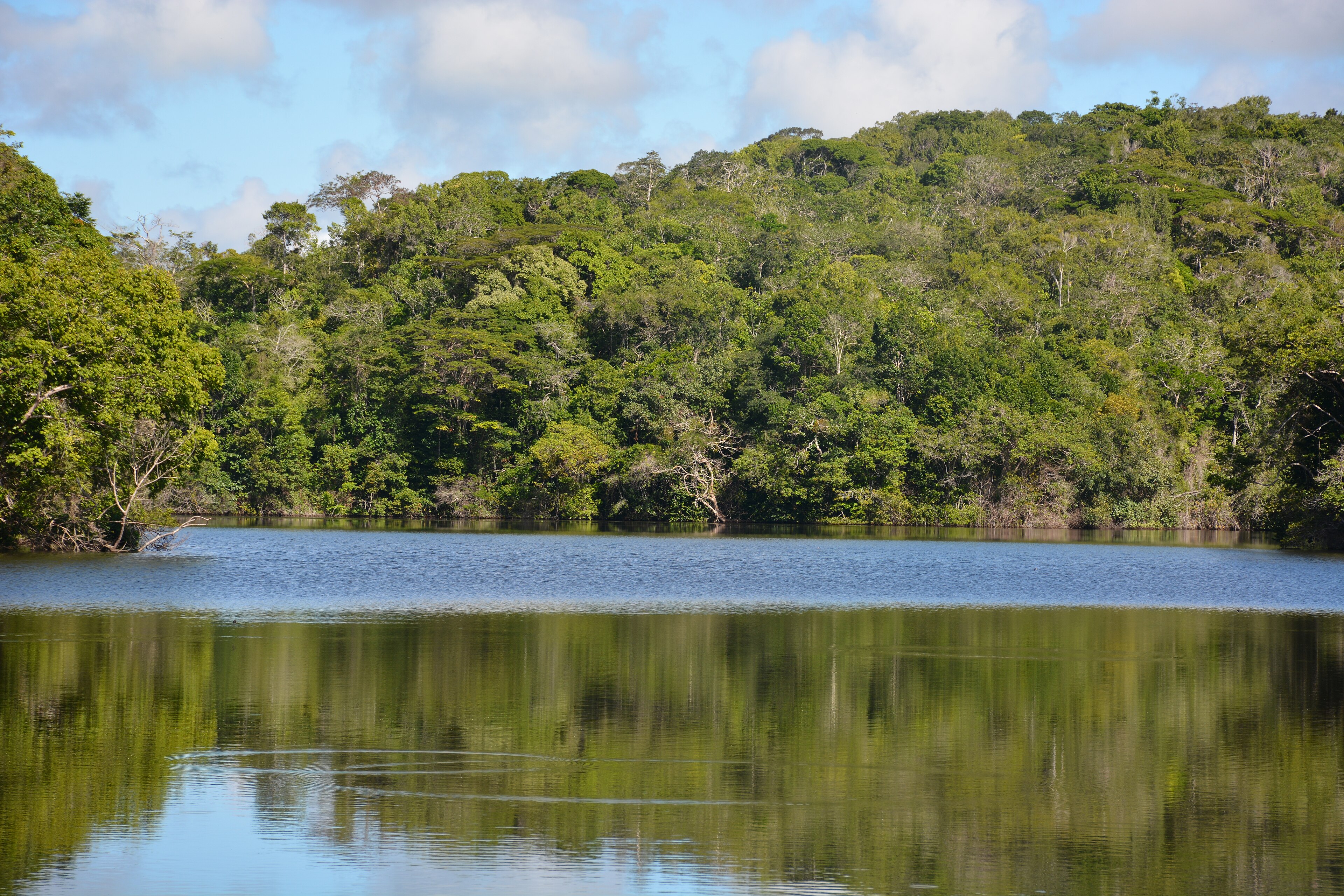 Parque Municipal Natural da Boa Esperança — Mata Atlântica