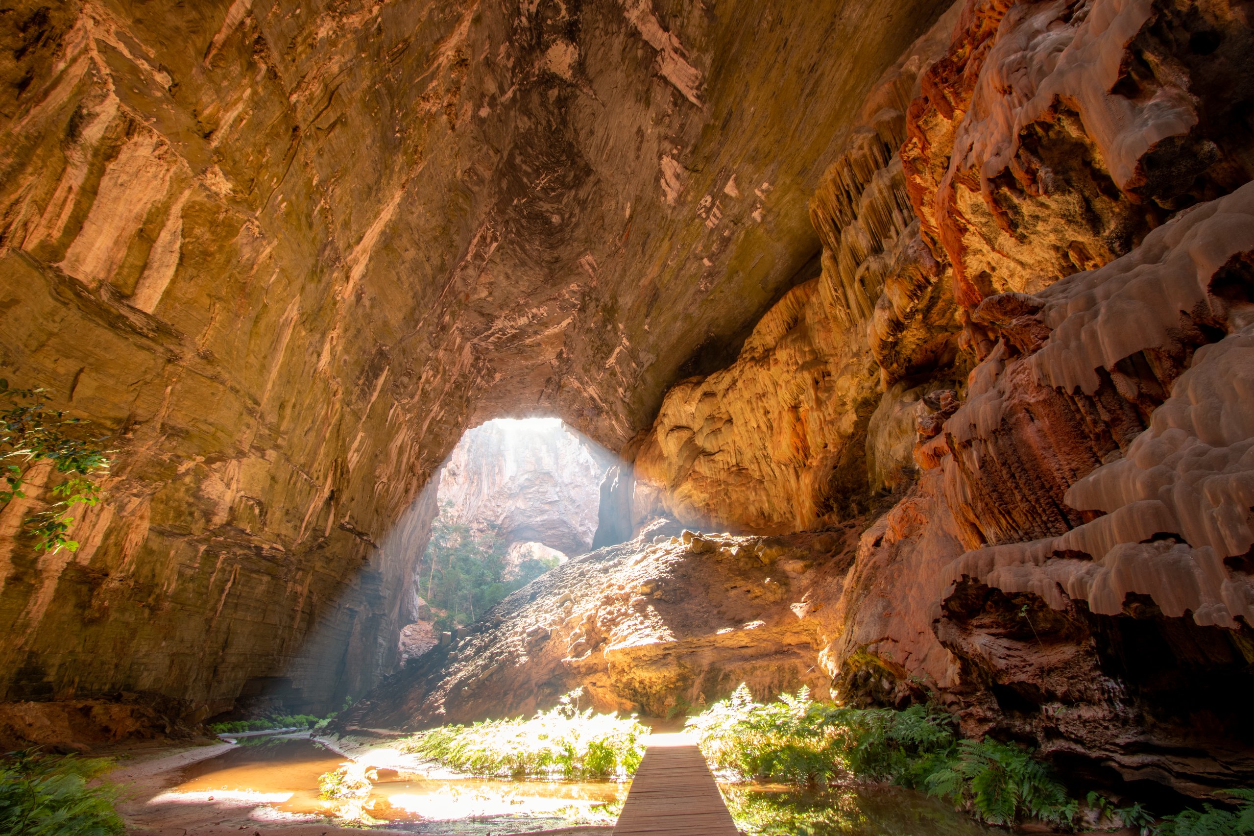 Parque Nacional Cavernas do Peruaçu — Caatinga