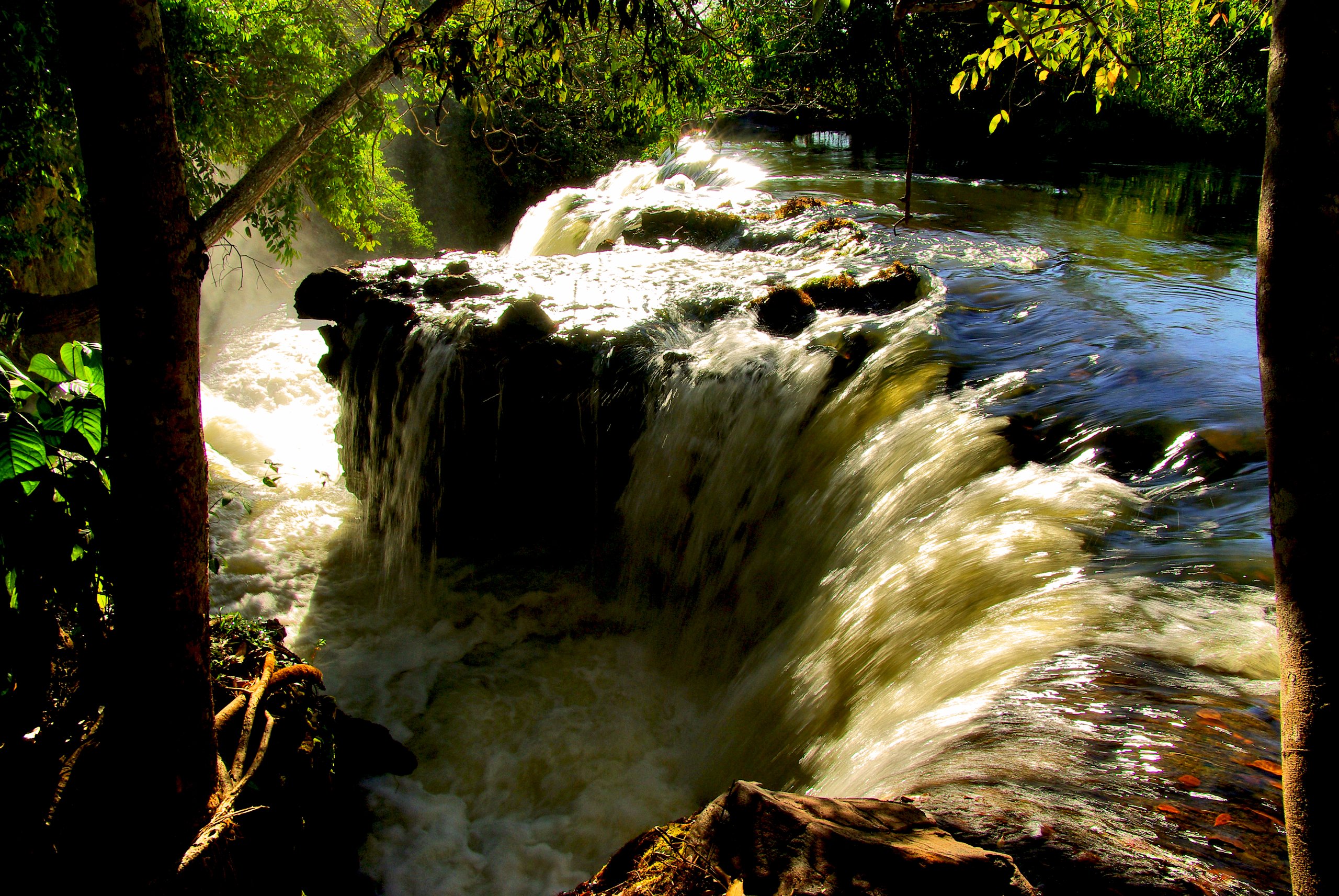Parque Nacional da Chapada das Mesas — Cerrado