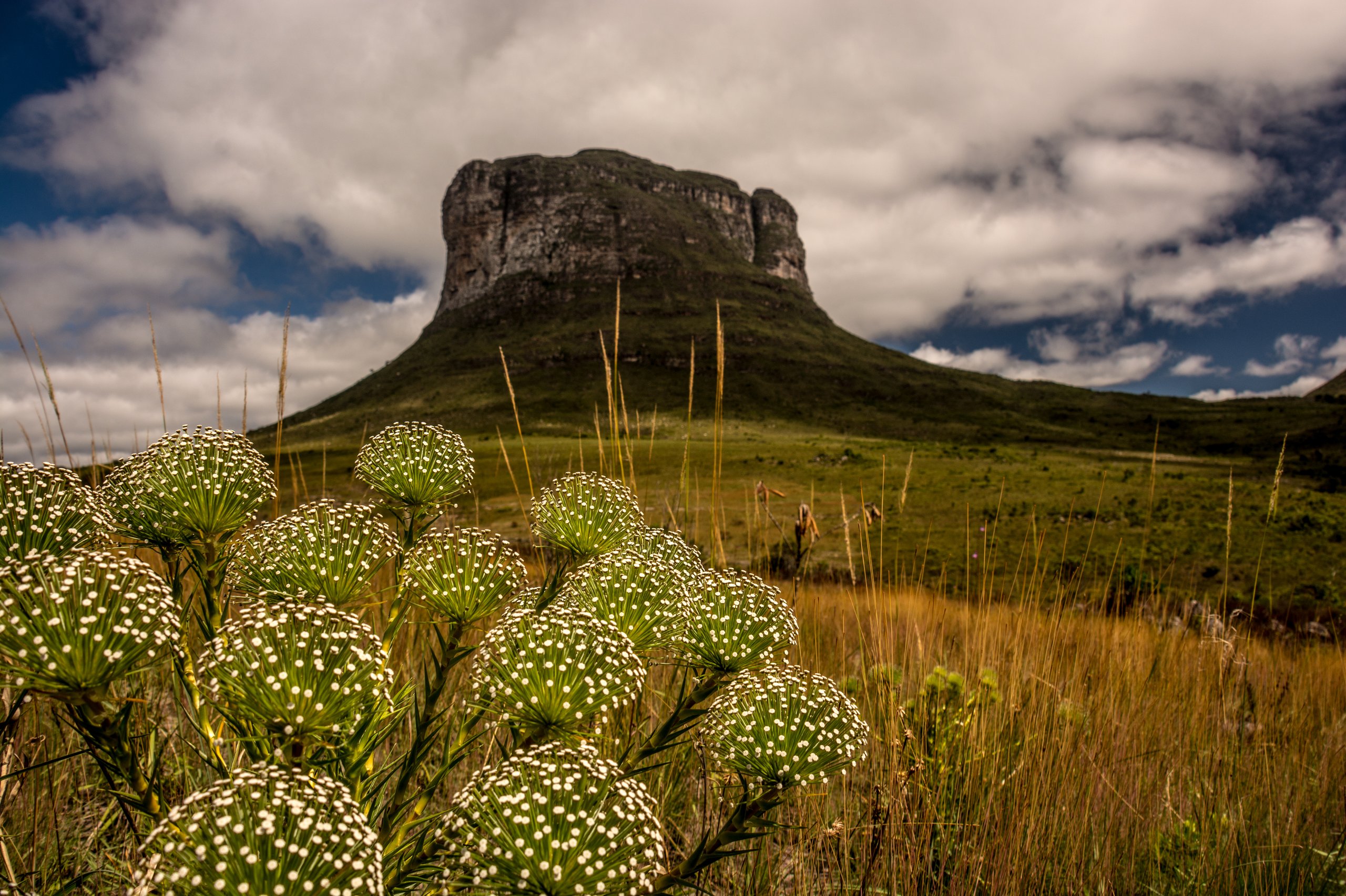 Parque Nacional da Chapada Diamantina — Caatinga