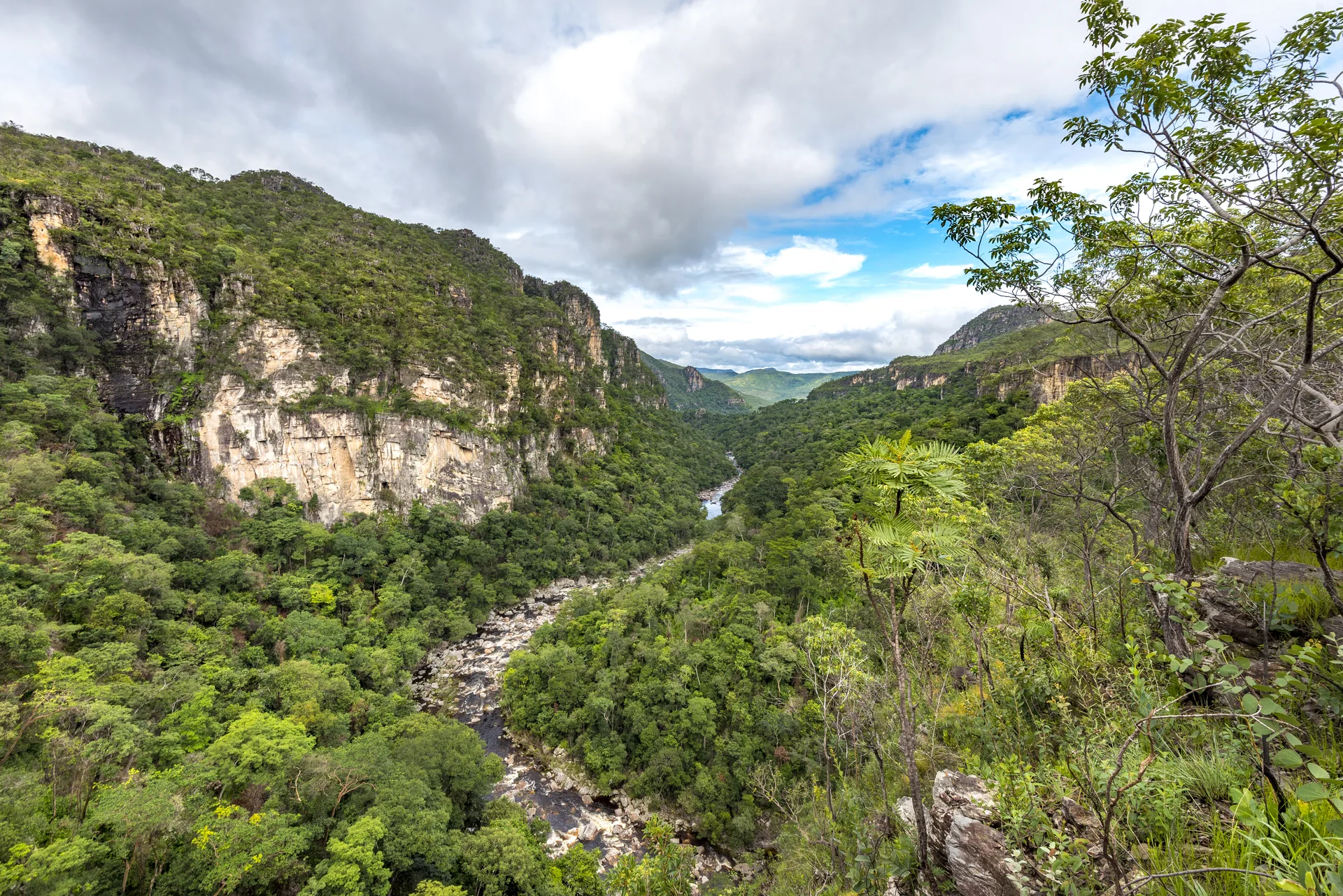 Cerrado