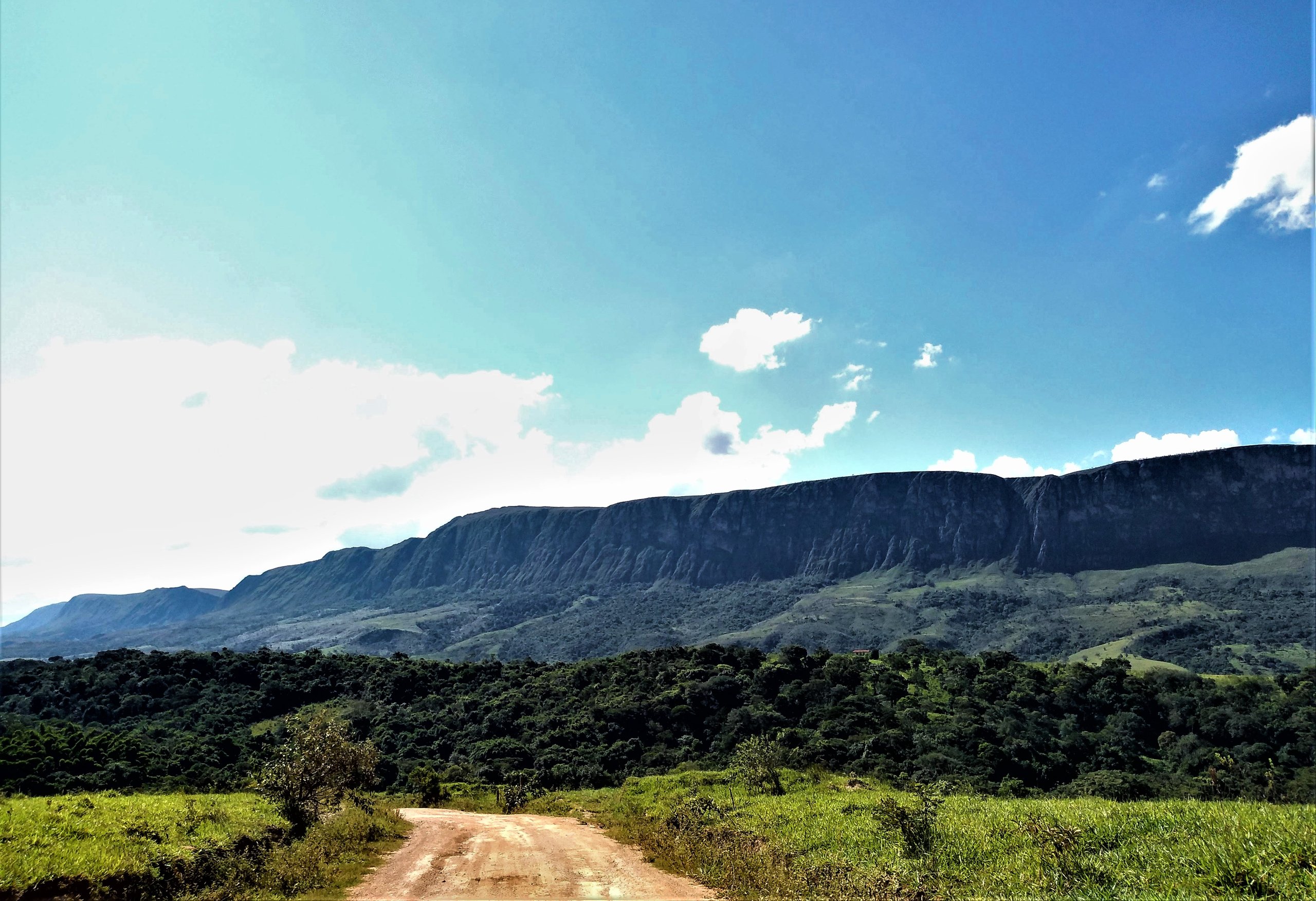 Parque Nacional da Serra da Canastra — Cerrado