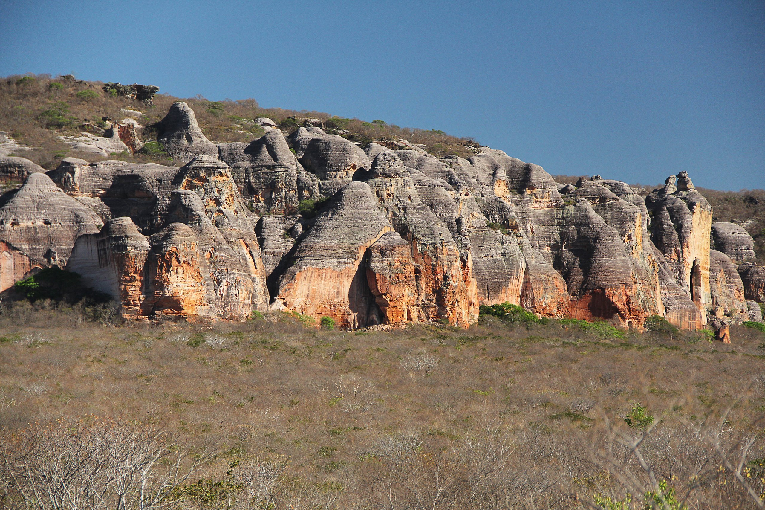 Parque Nacional da Serra das Confusões — Caatinga