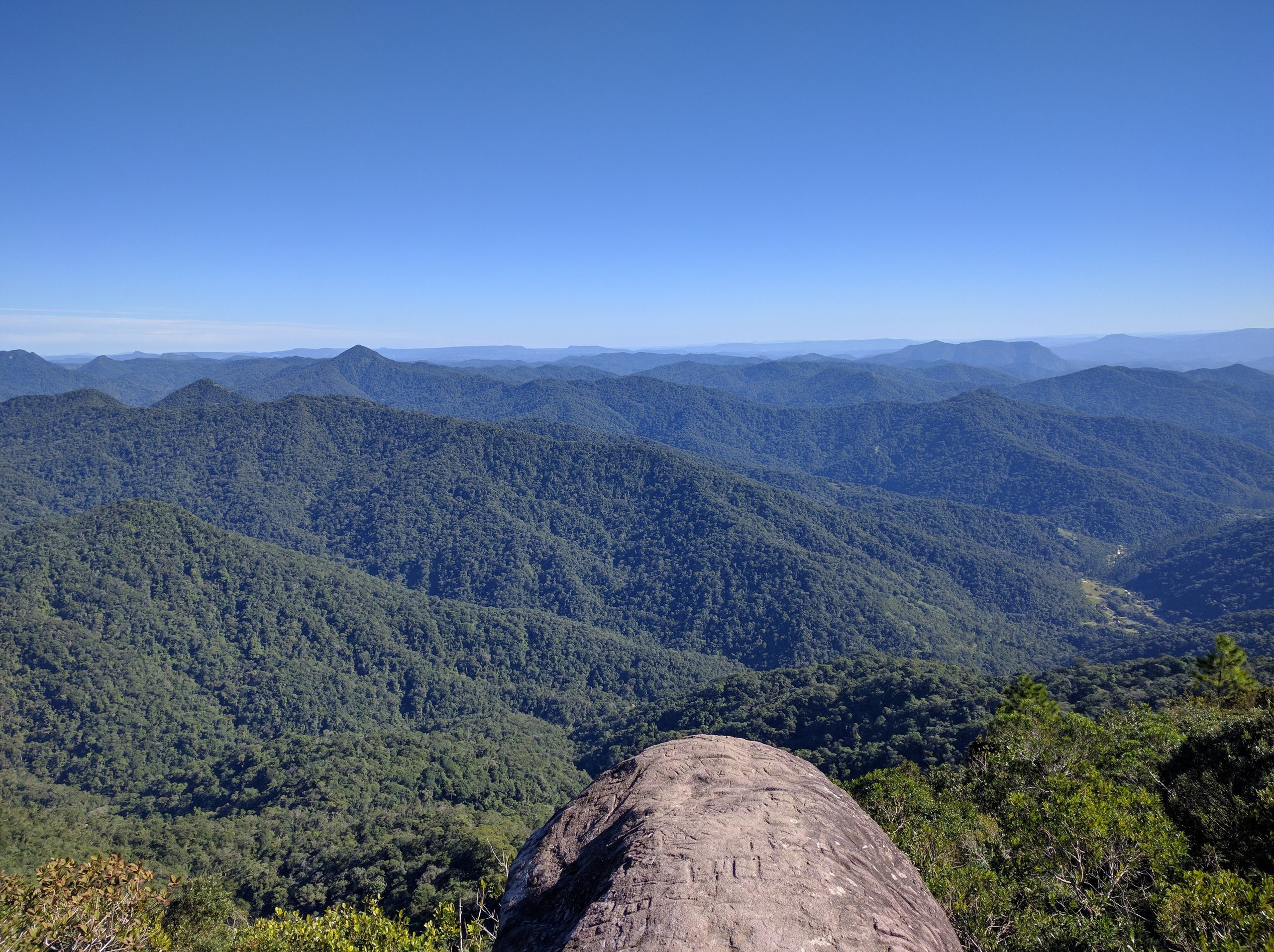Parque Nacional da Serra do Itajaí — Mata Atlântica
