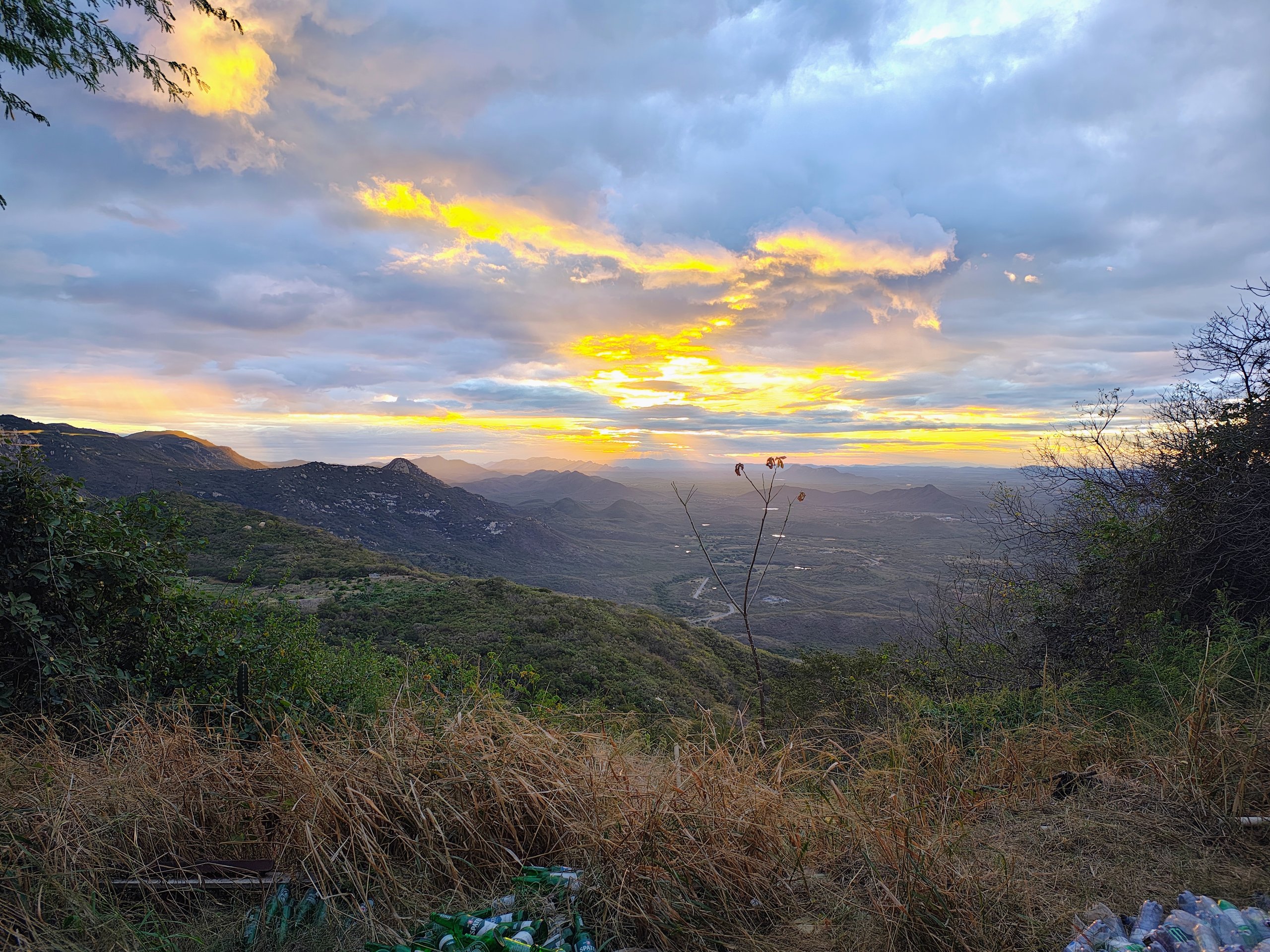 Parque Nacional da Serra do Teixeira — Caatinga